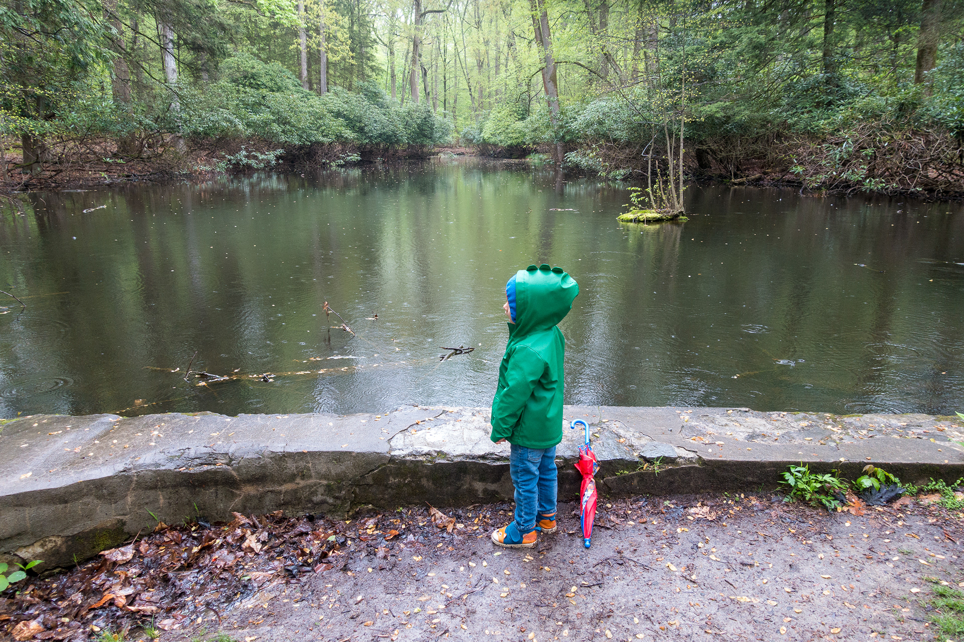 Hartsbrook Park and Preserve