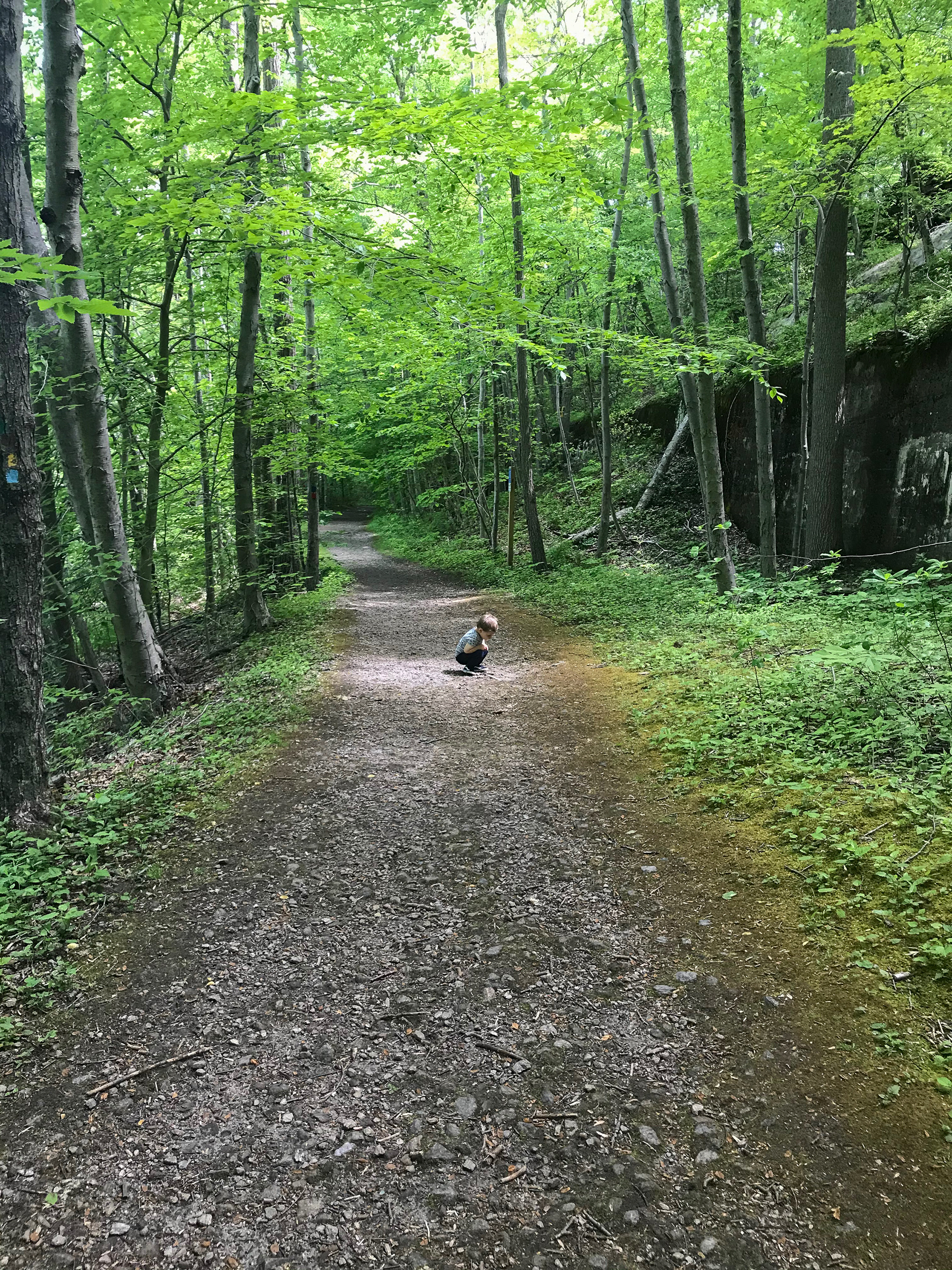 Cranberry Lake Preserve