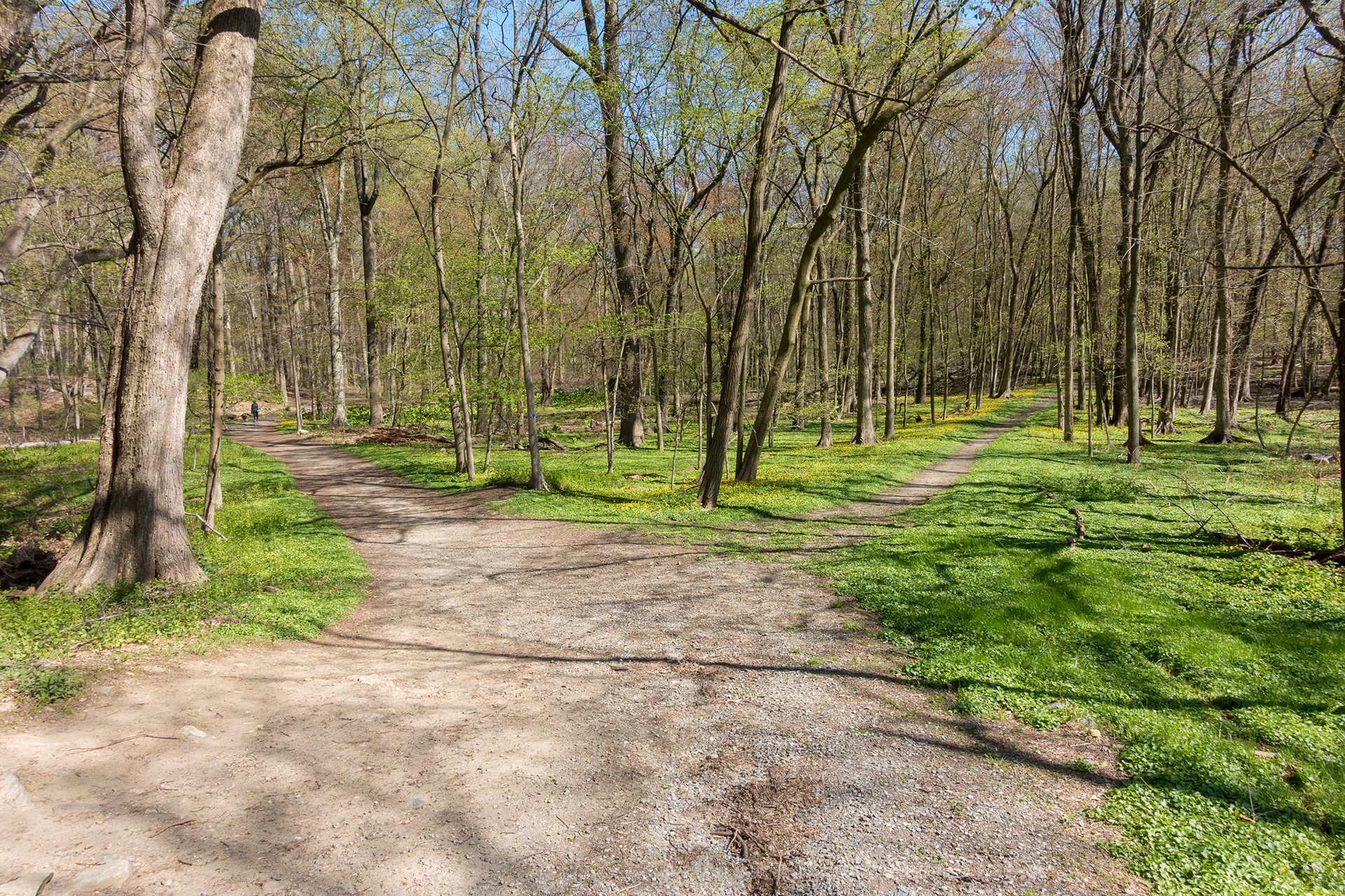 Twin Lakes Park