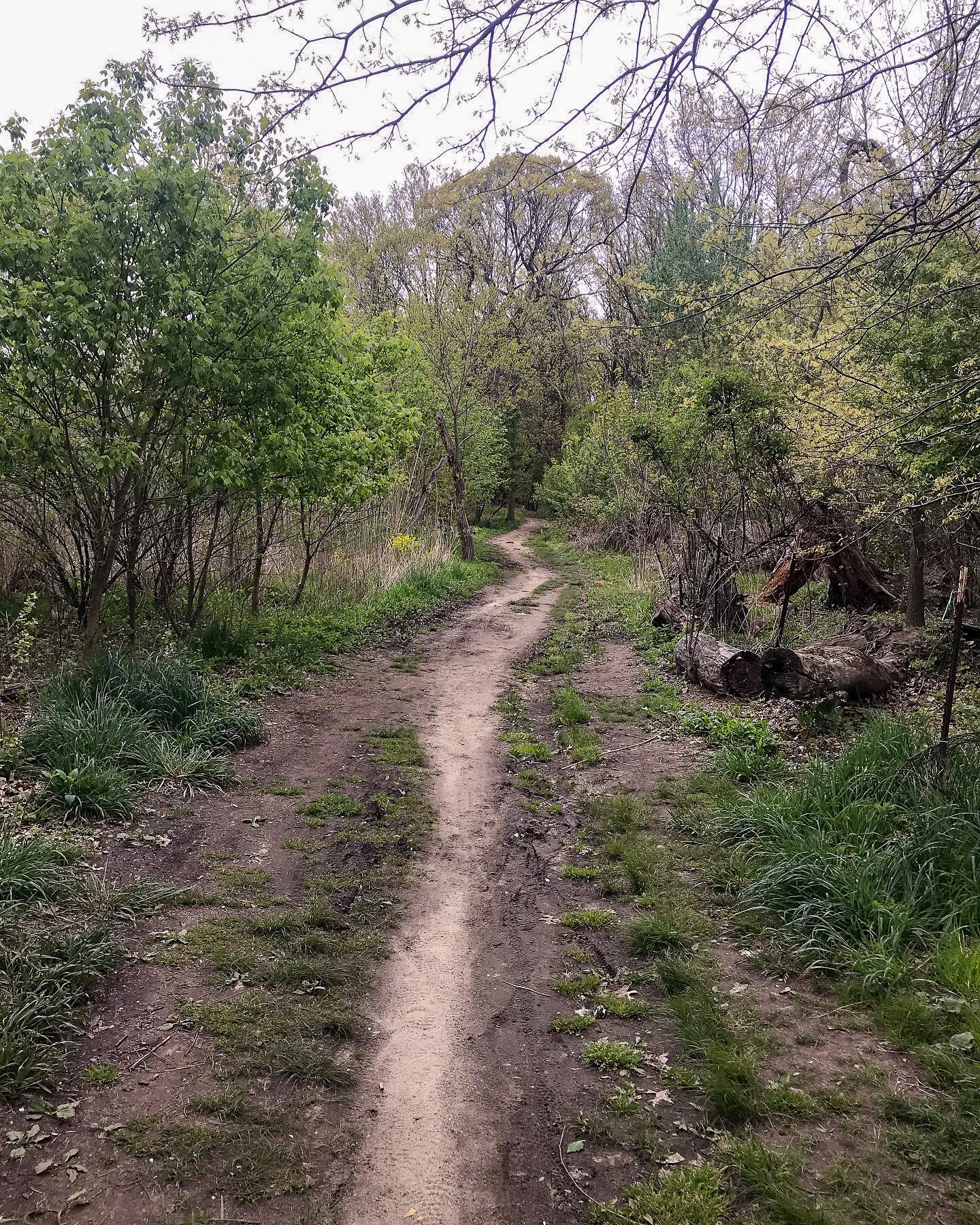 Pelham Bay Park
