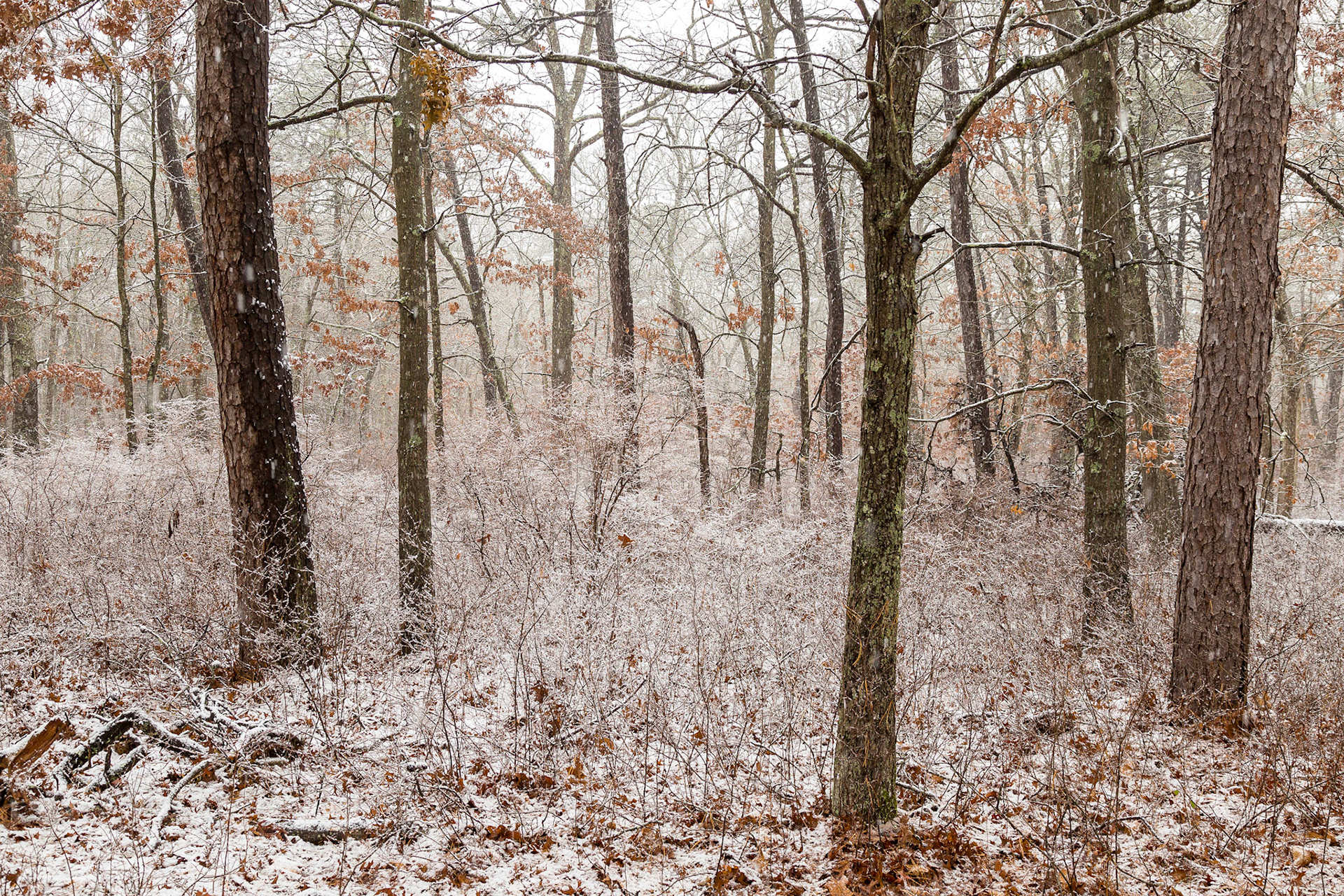 South Haven Park, Long Island, New York