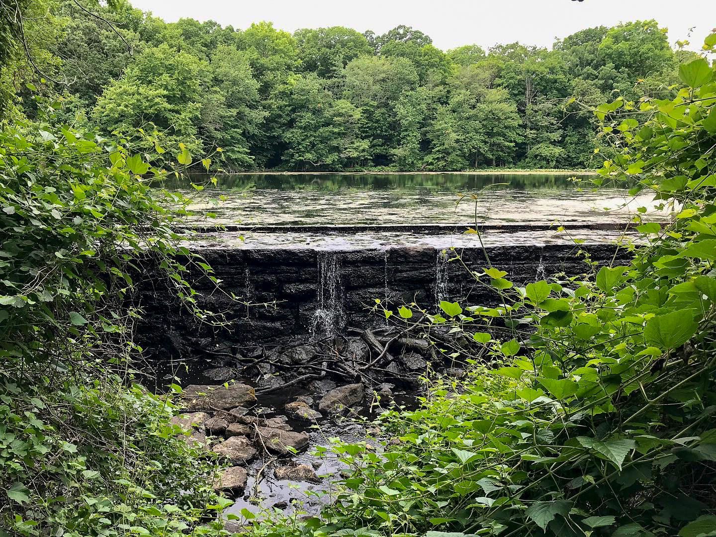 Sheldrake Environmental Center