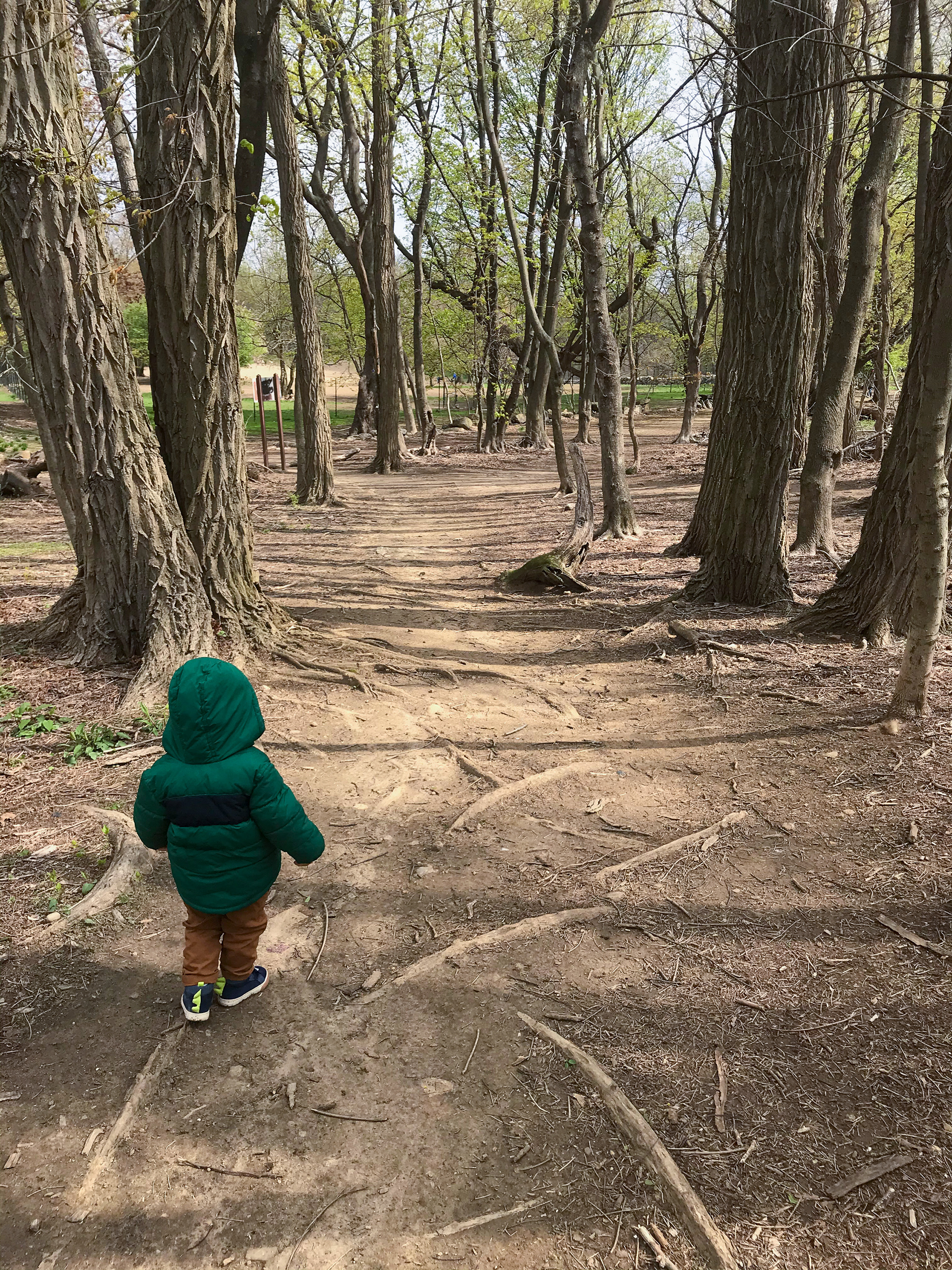 Ward Acres