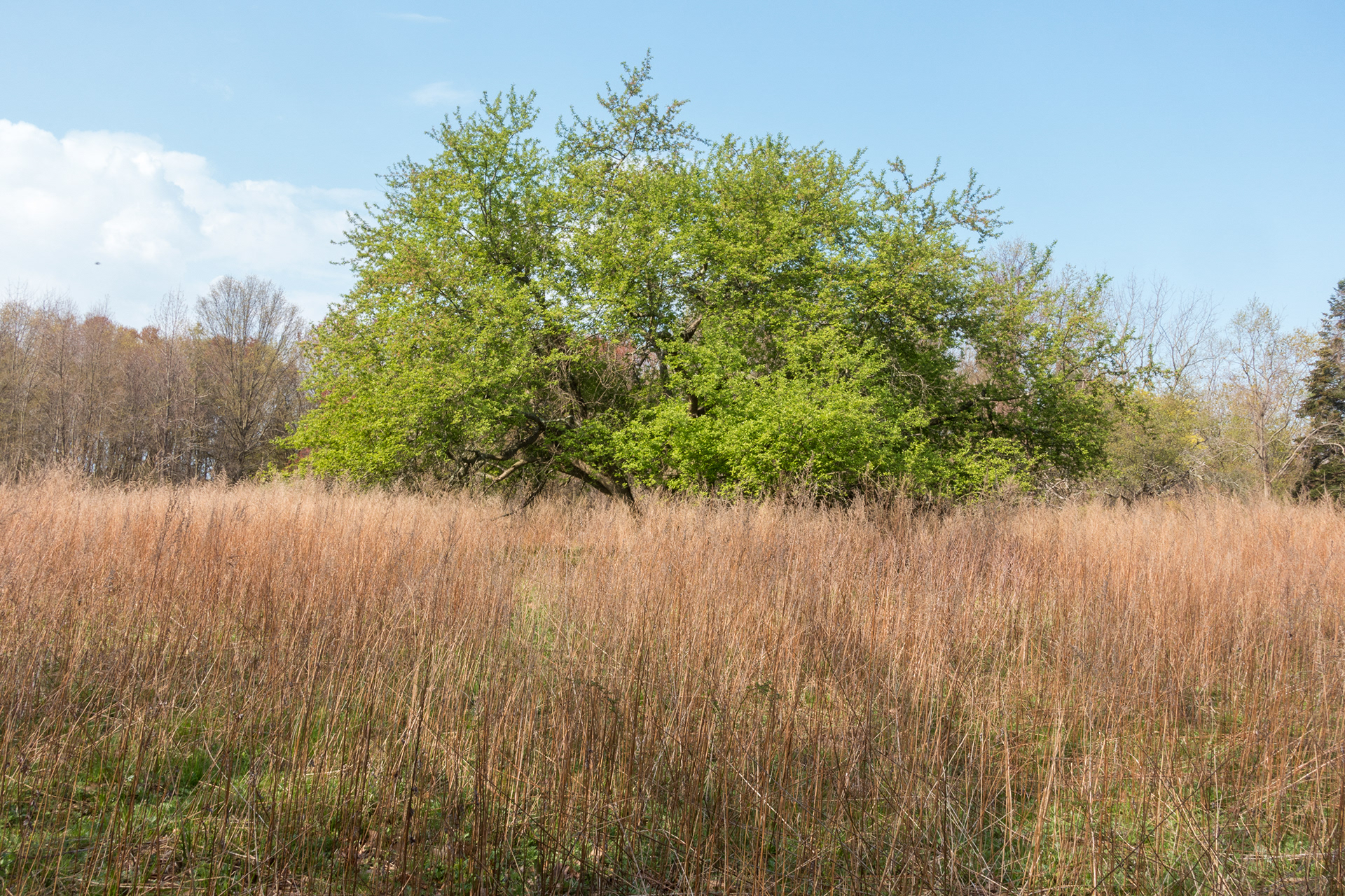 Twin Lakes Park