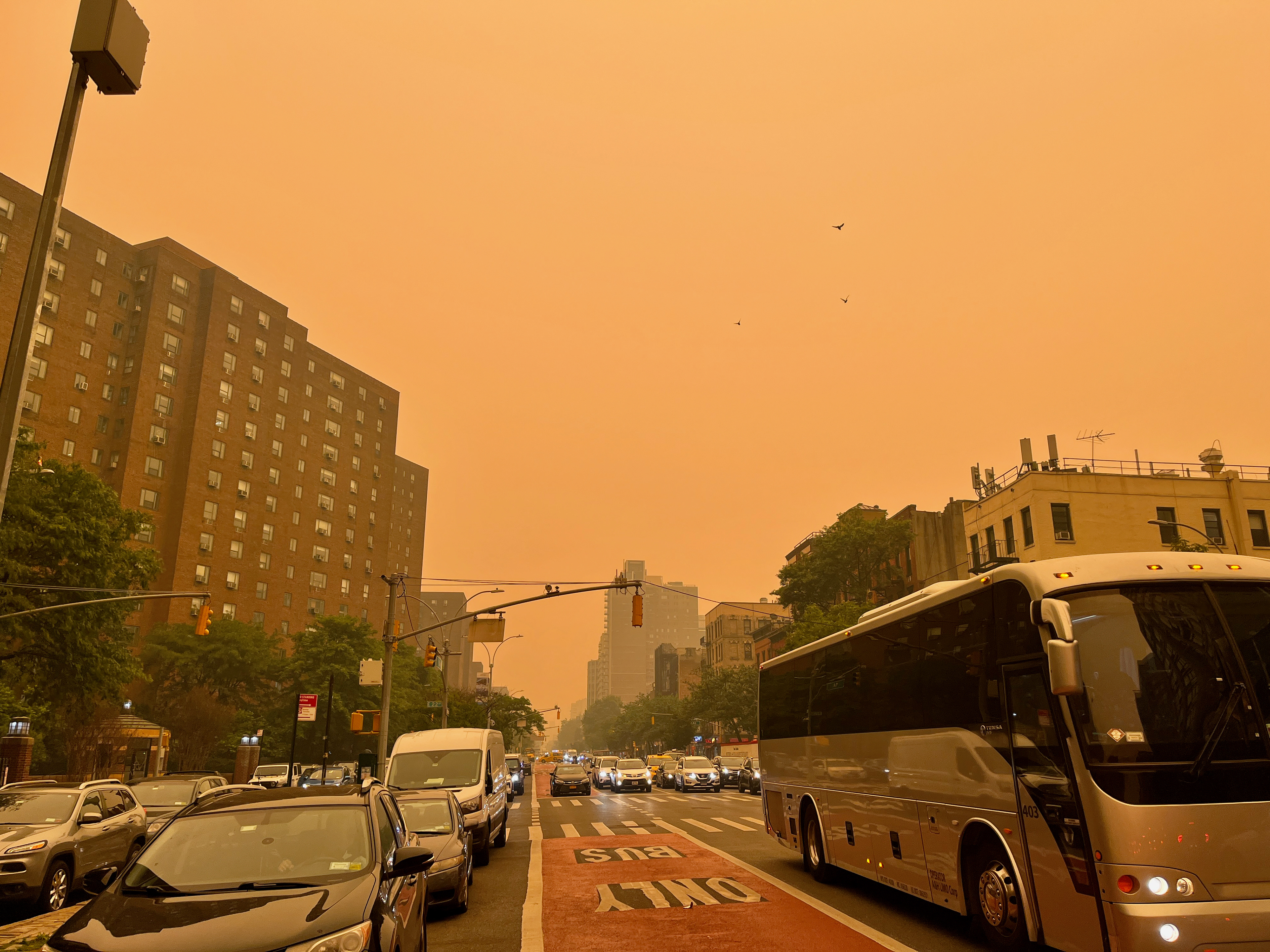 Orange Sky from Canadian Wildfires