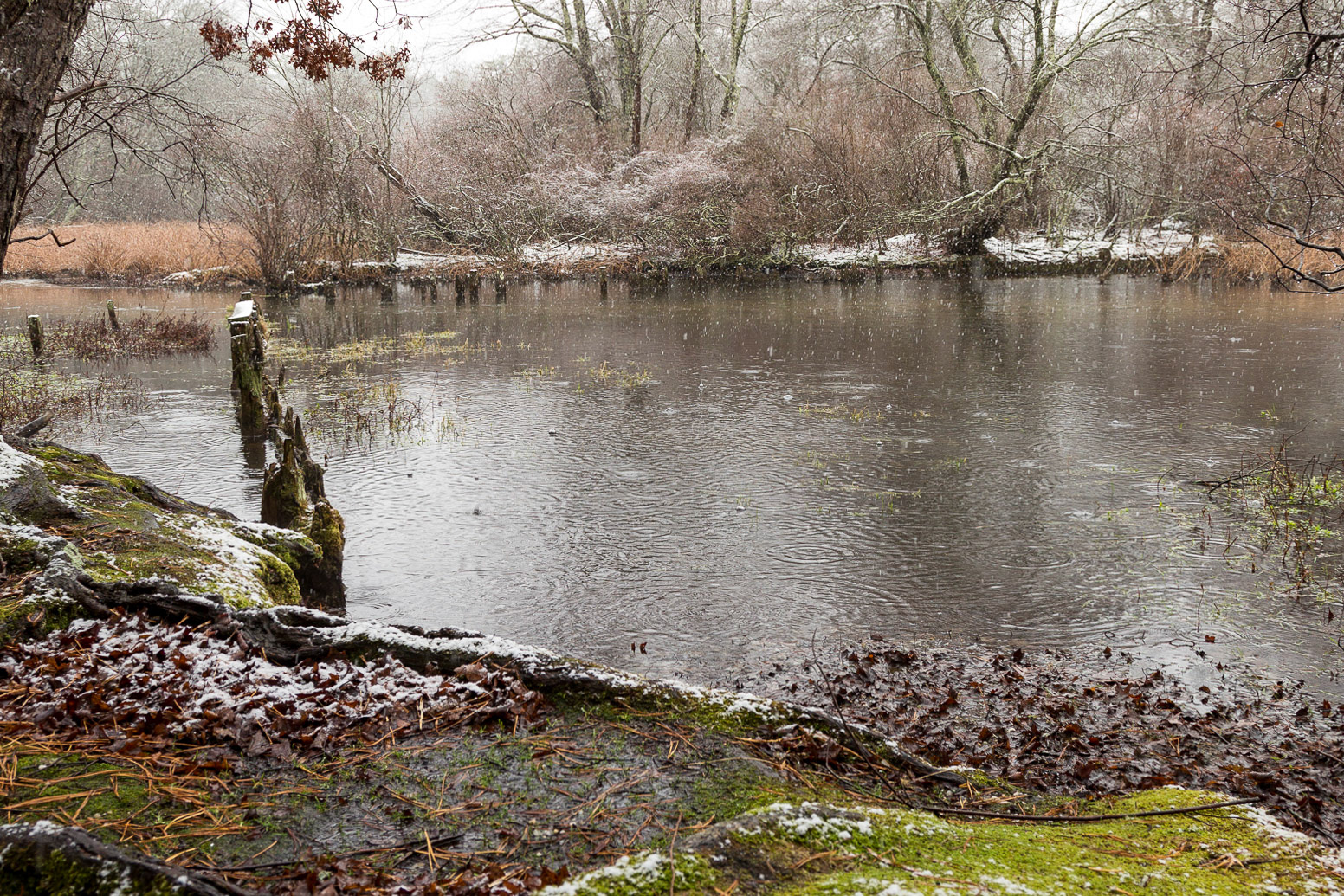 South Haven Park, Long Island, New York