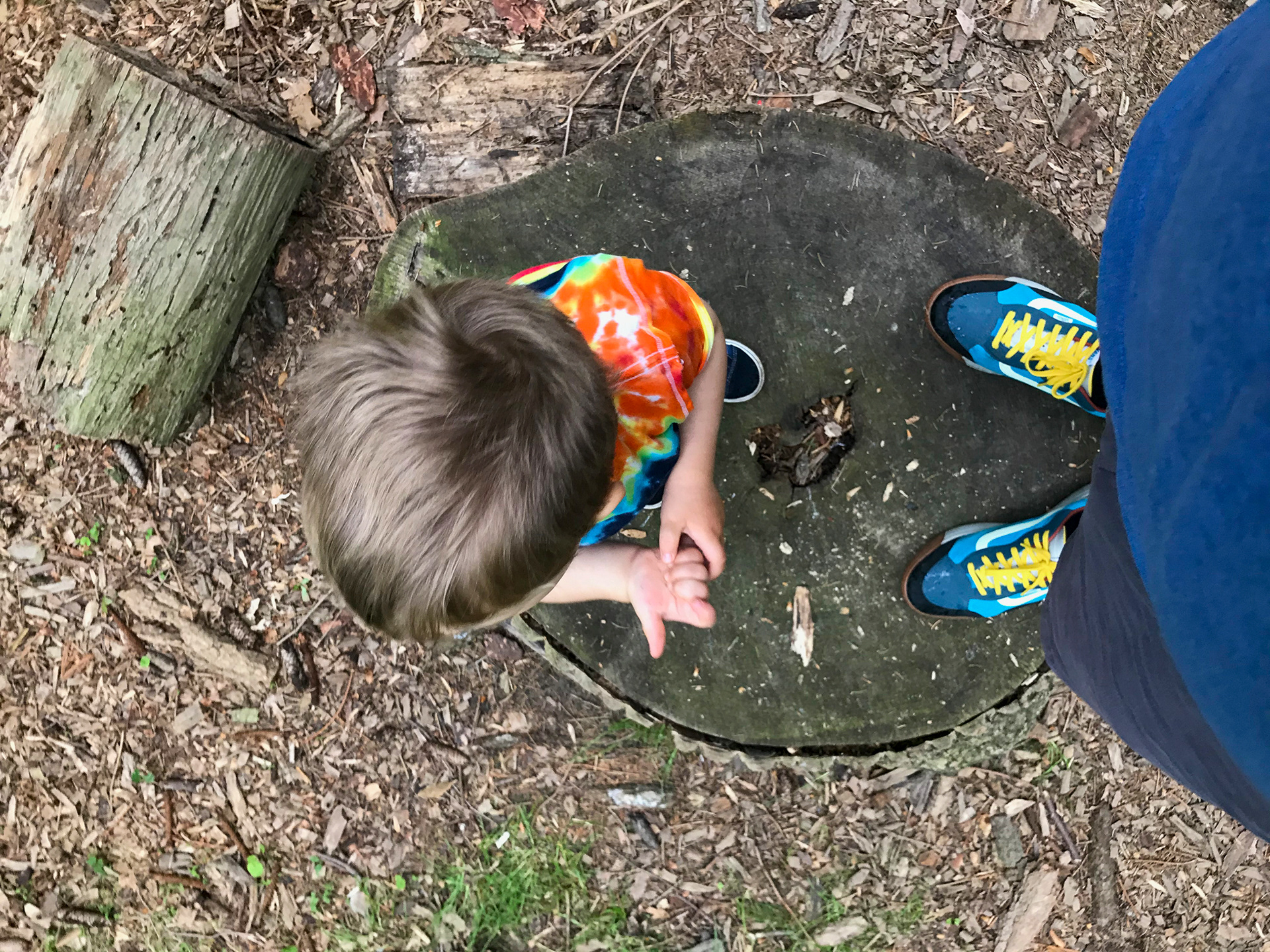 Lenoir Preserve