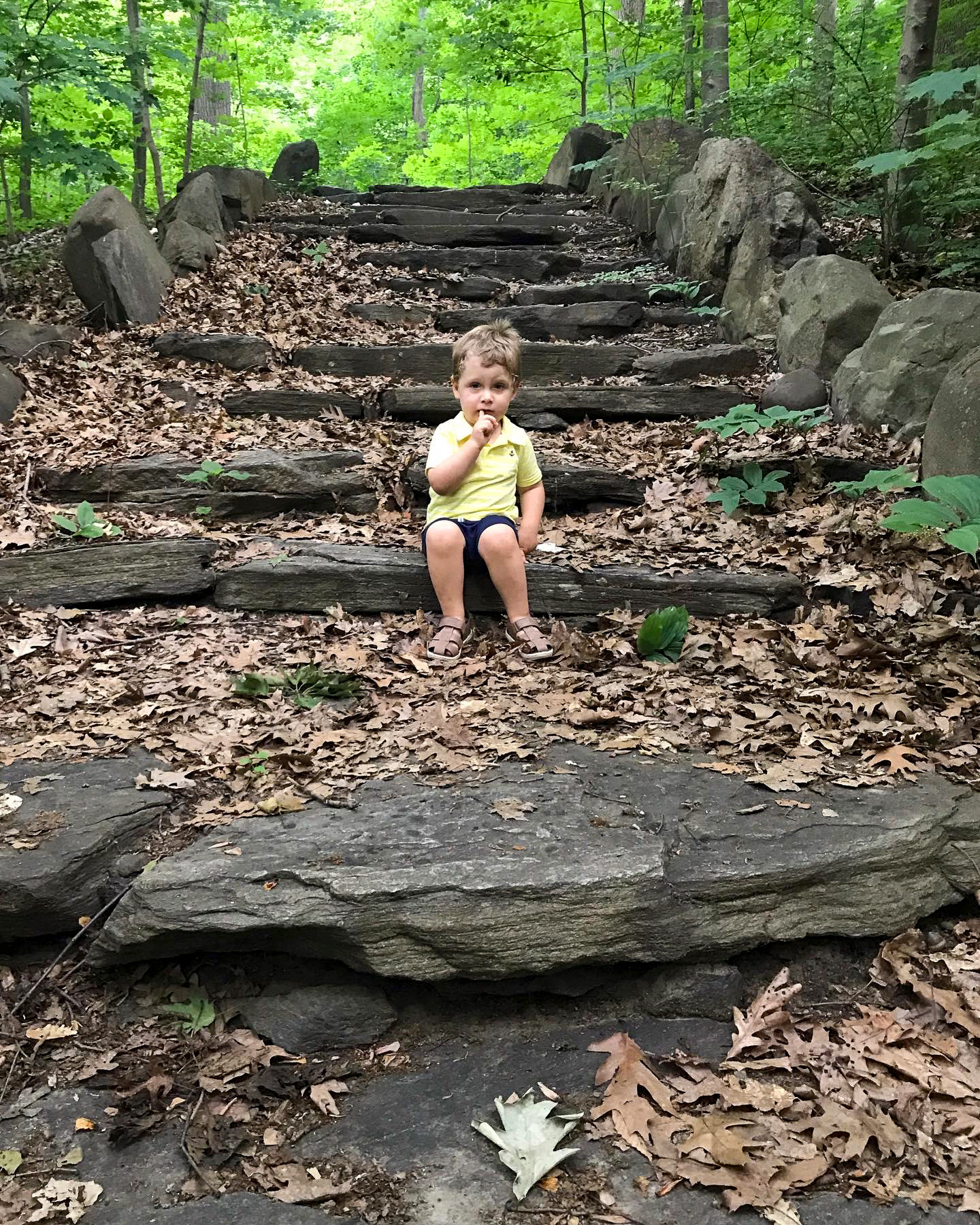 Tibbetts Brook
