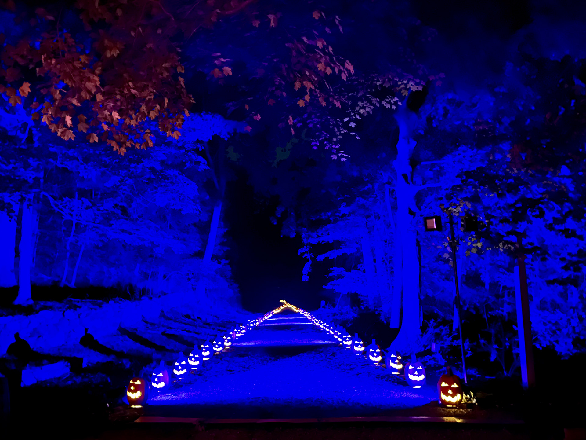 The Burn, Halloween walk