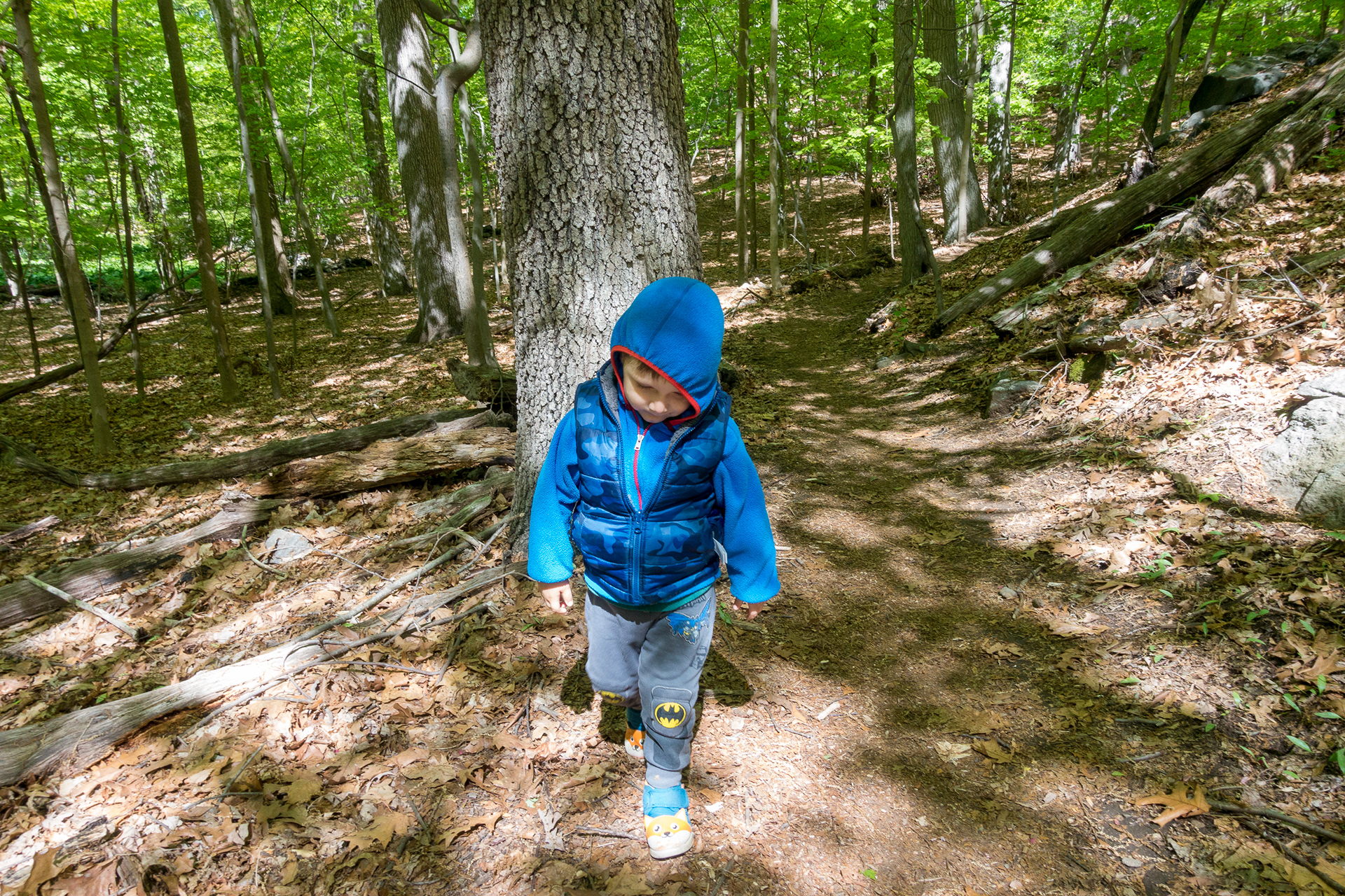 Greenburgh Nature Center