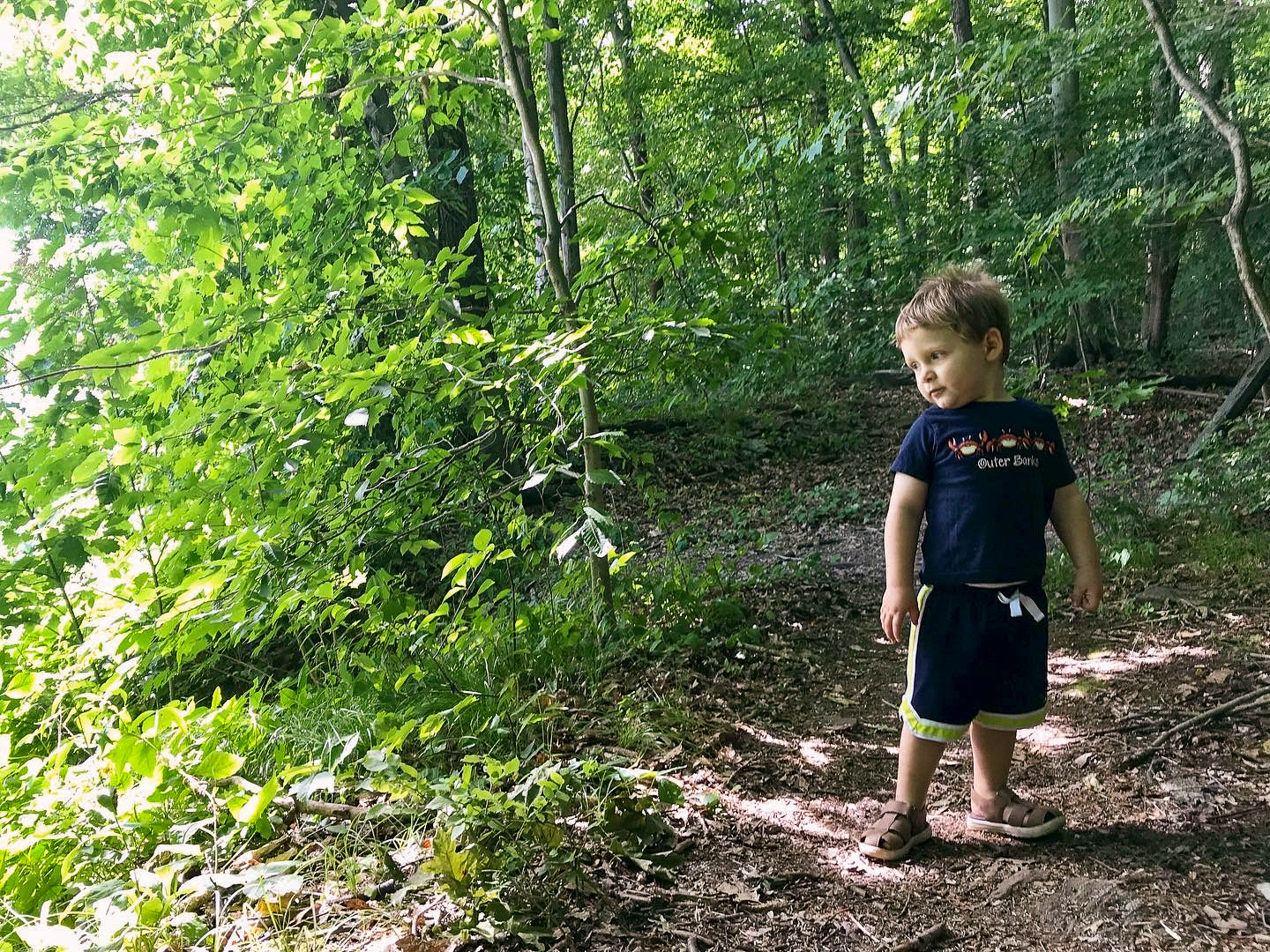 Saxon Woods Park