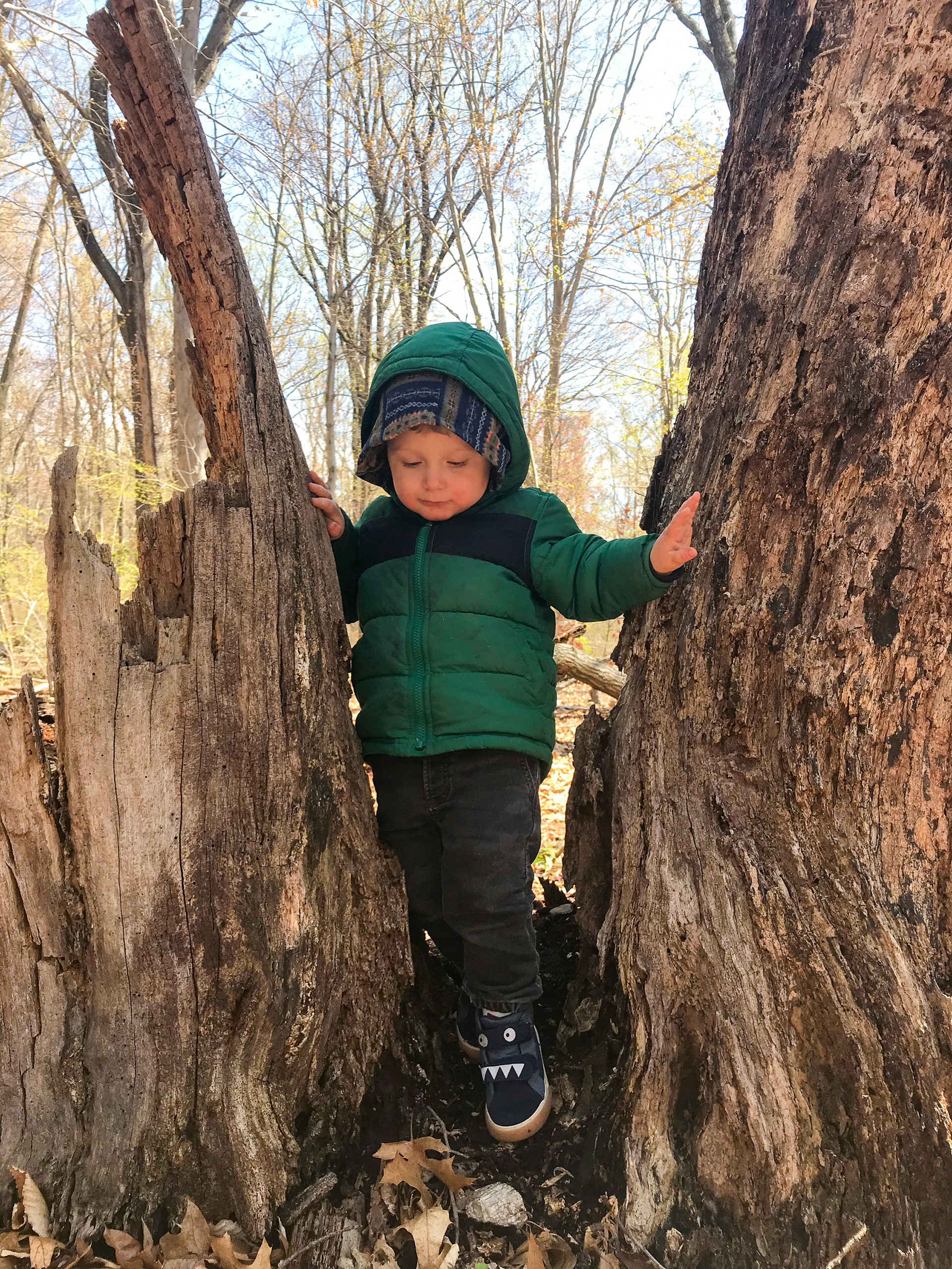 Ward Acres