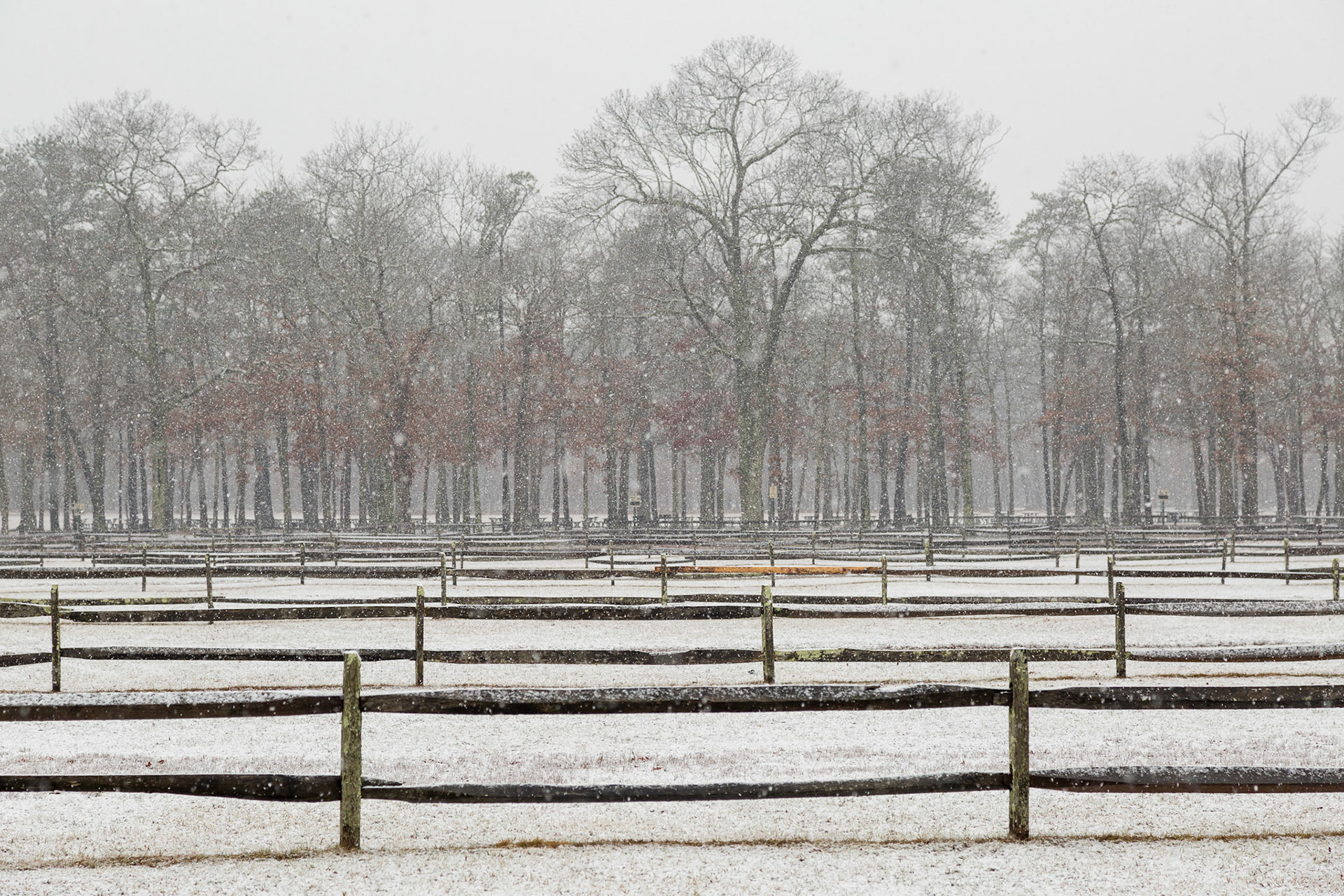 South Haven Park, Long Island, New York