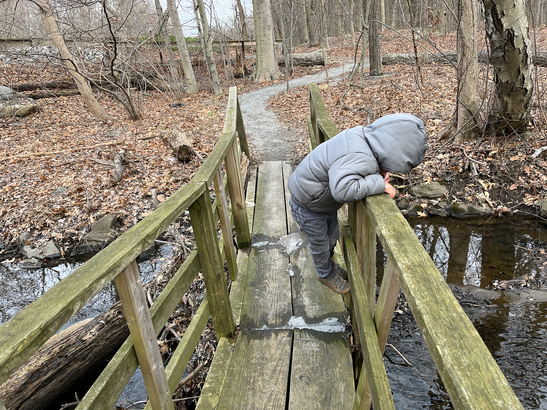 Greenburgh Nature Center