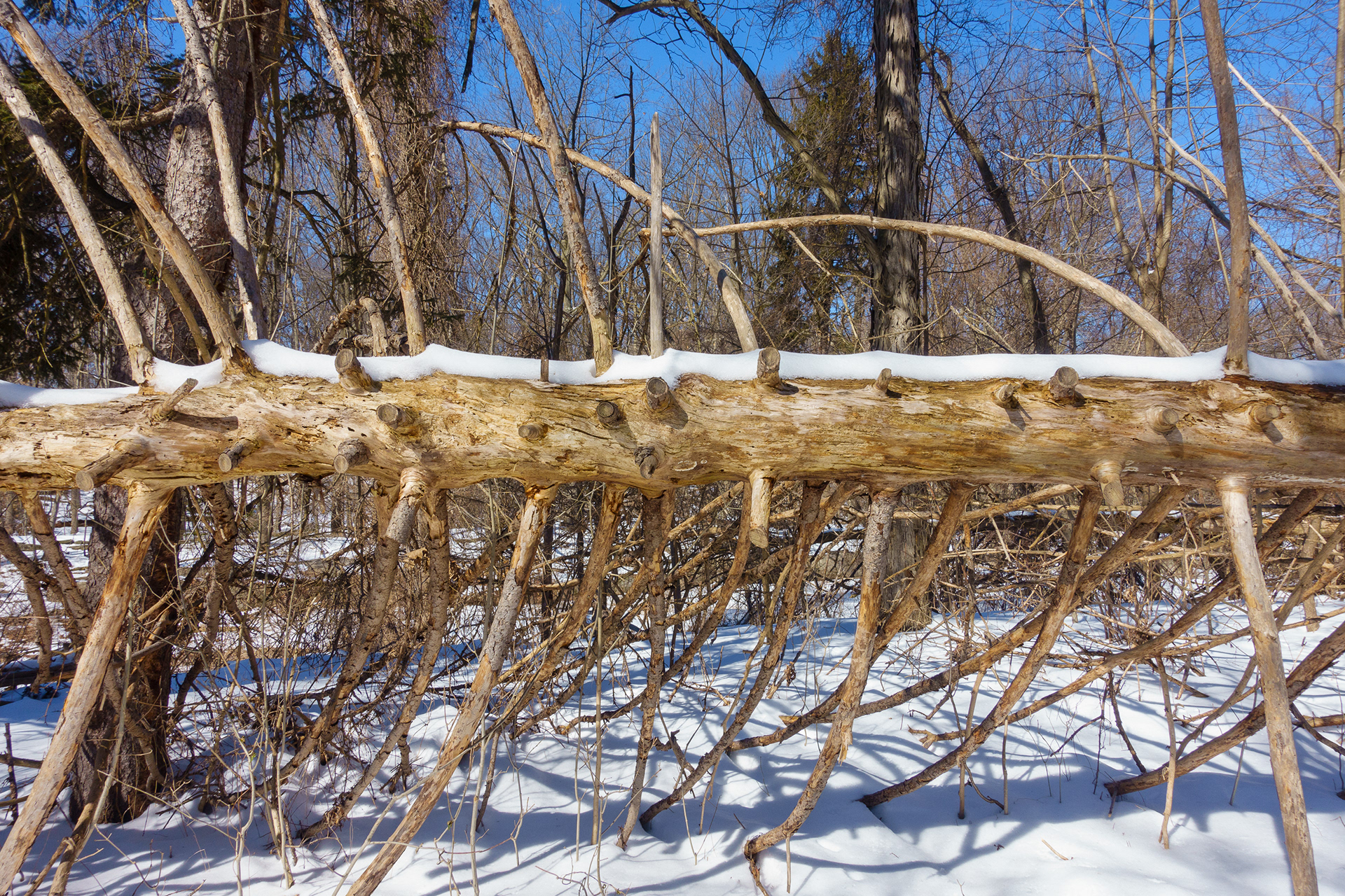 Lenoir Preserve