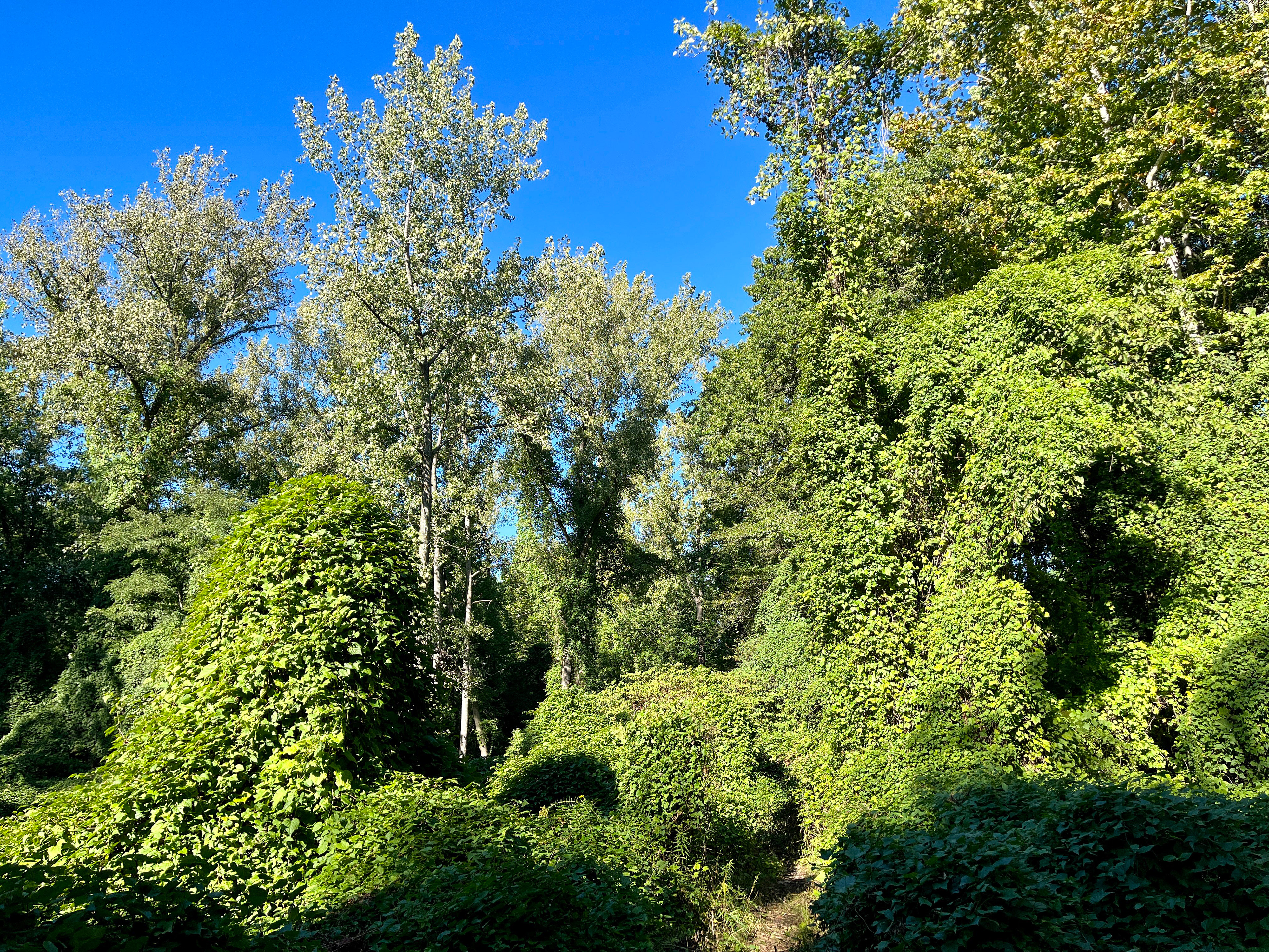 Ward Acres