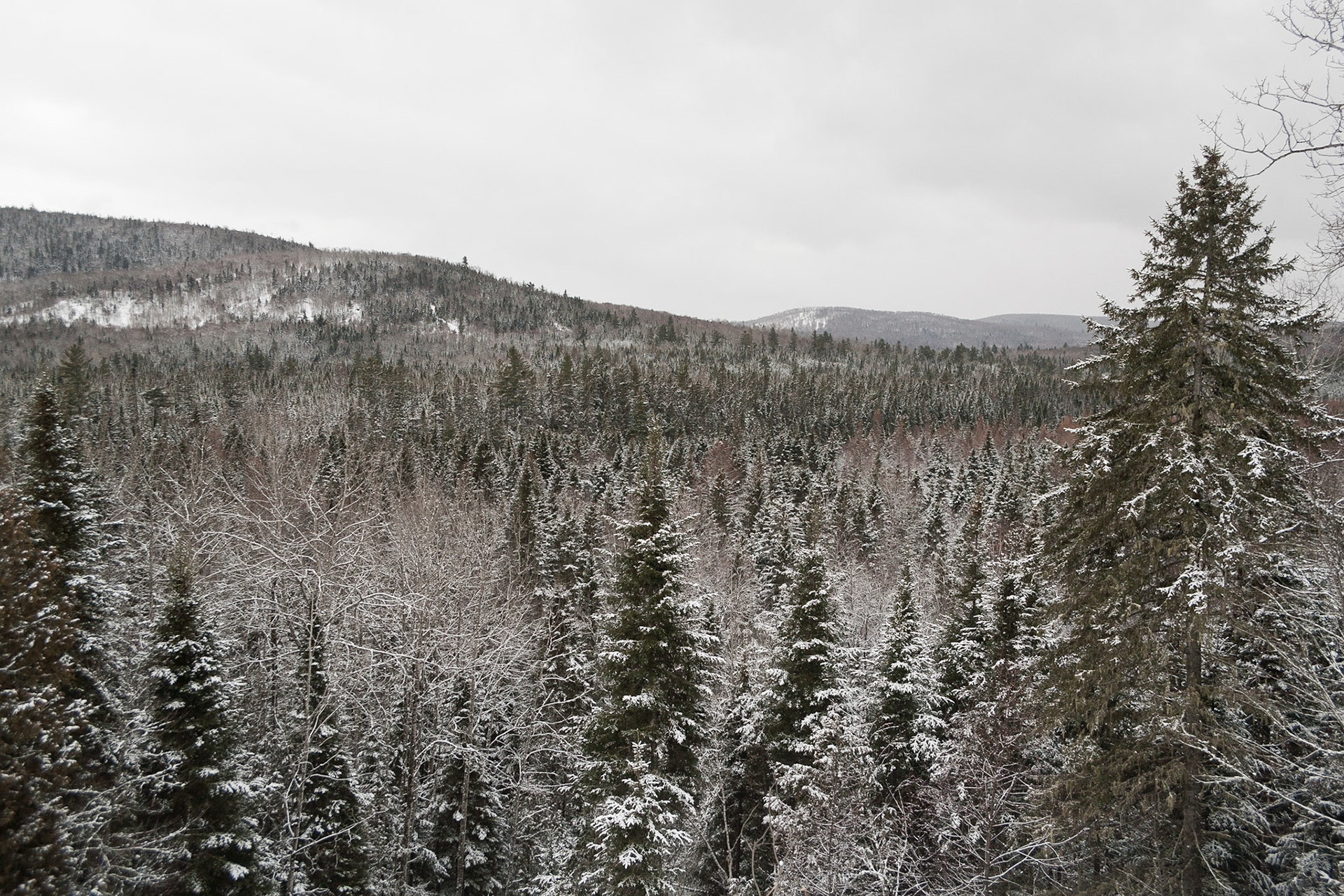 Saint-François, New Brunswick, Canada