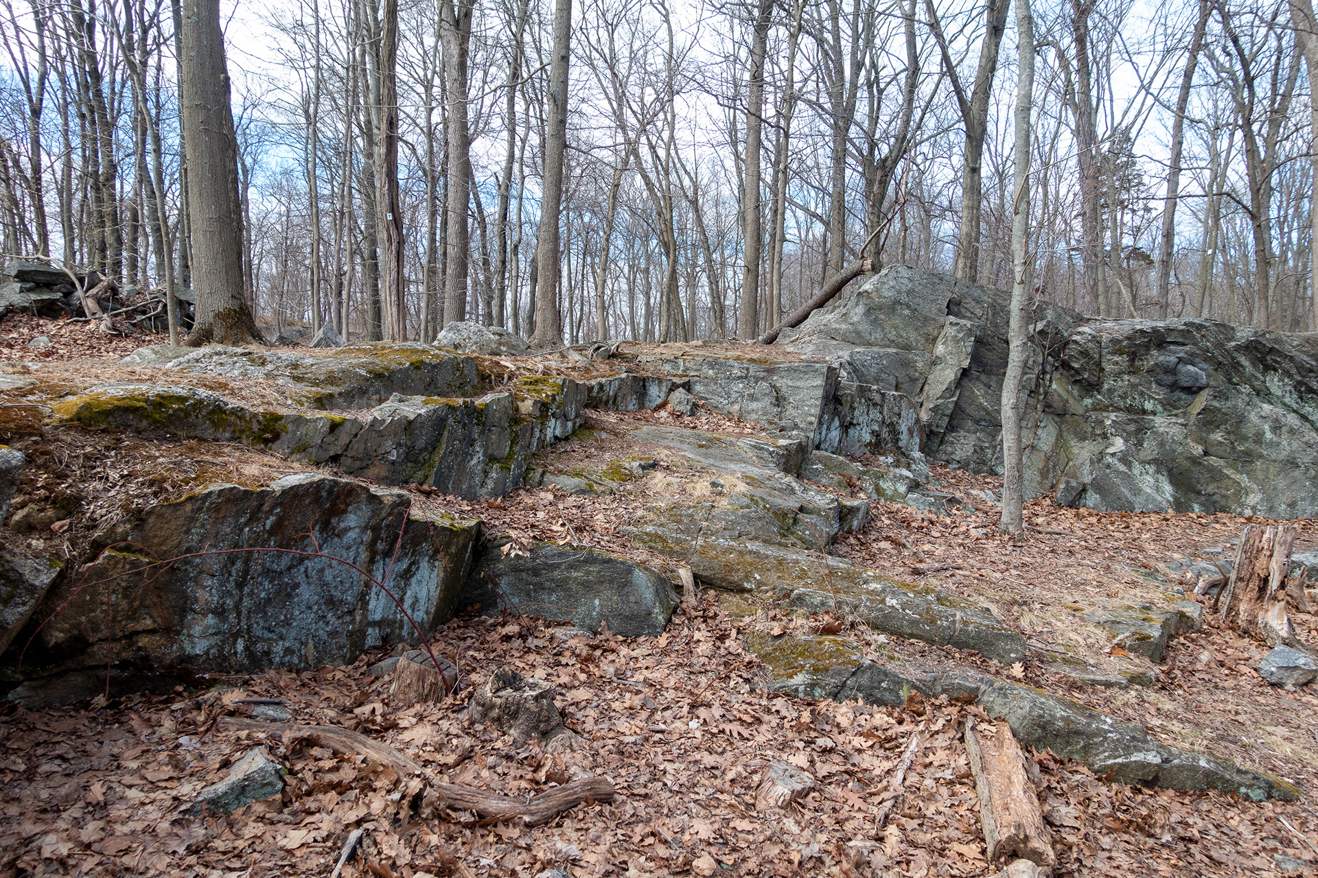 Rye Nature Center