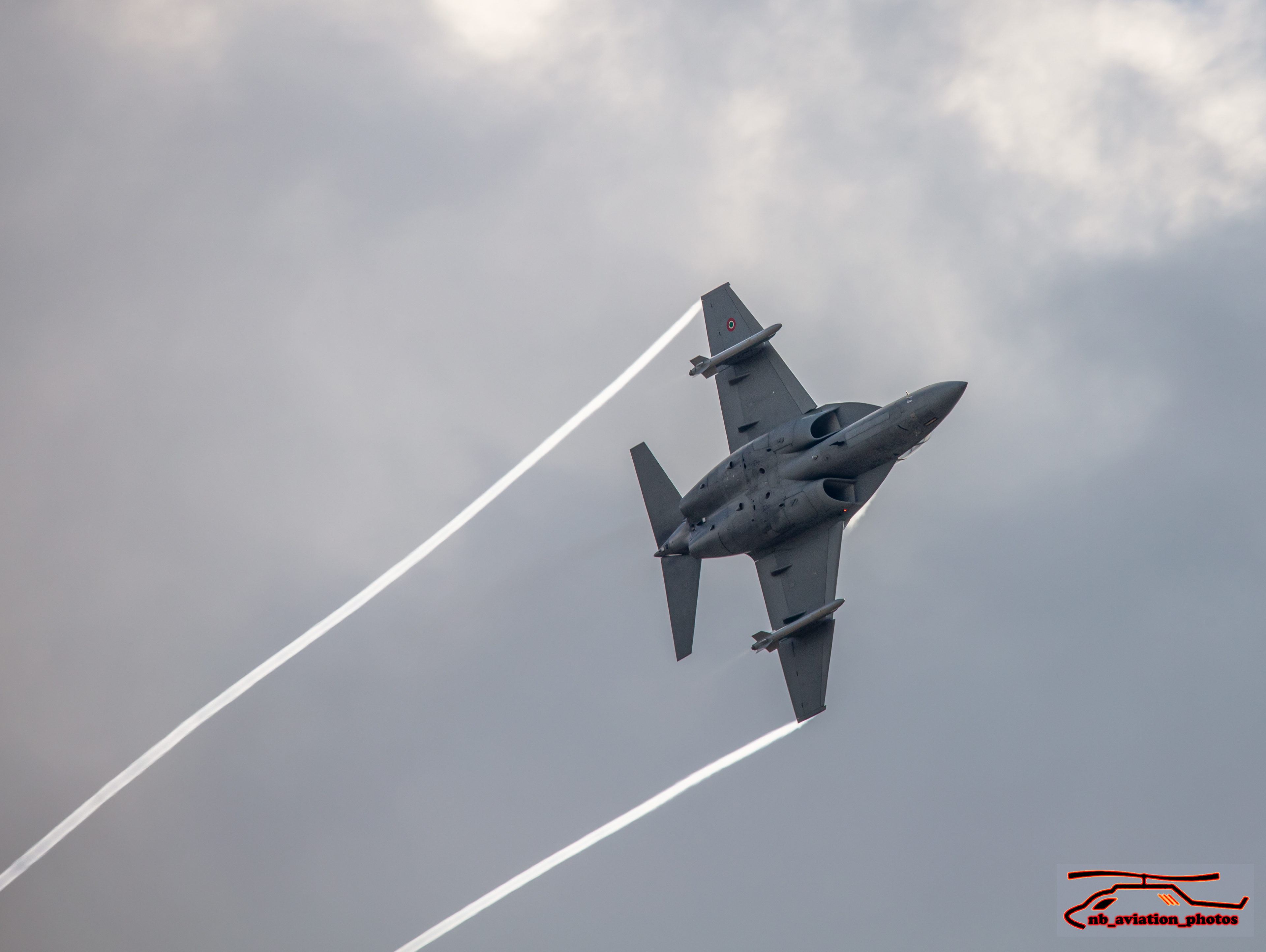 Leonardo M346 Master - Italian air force