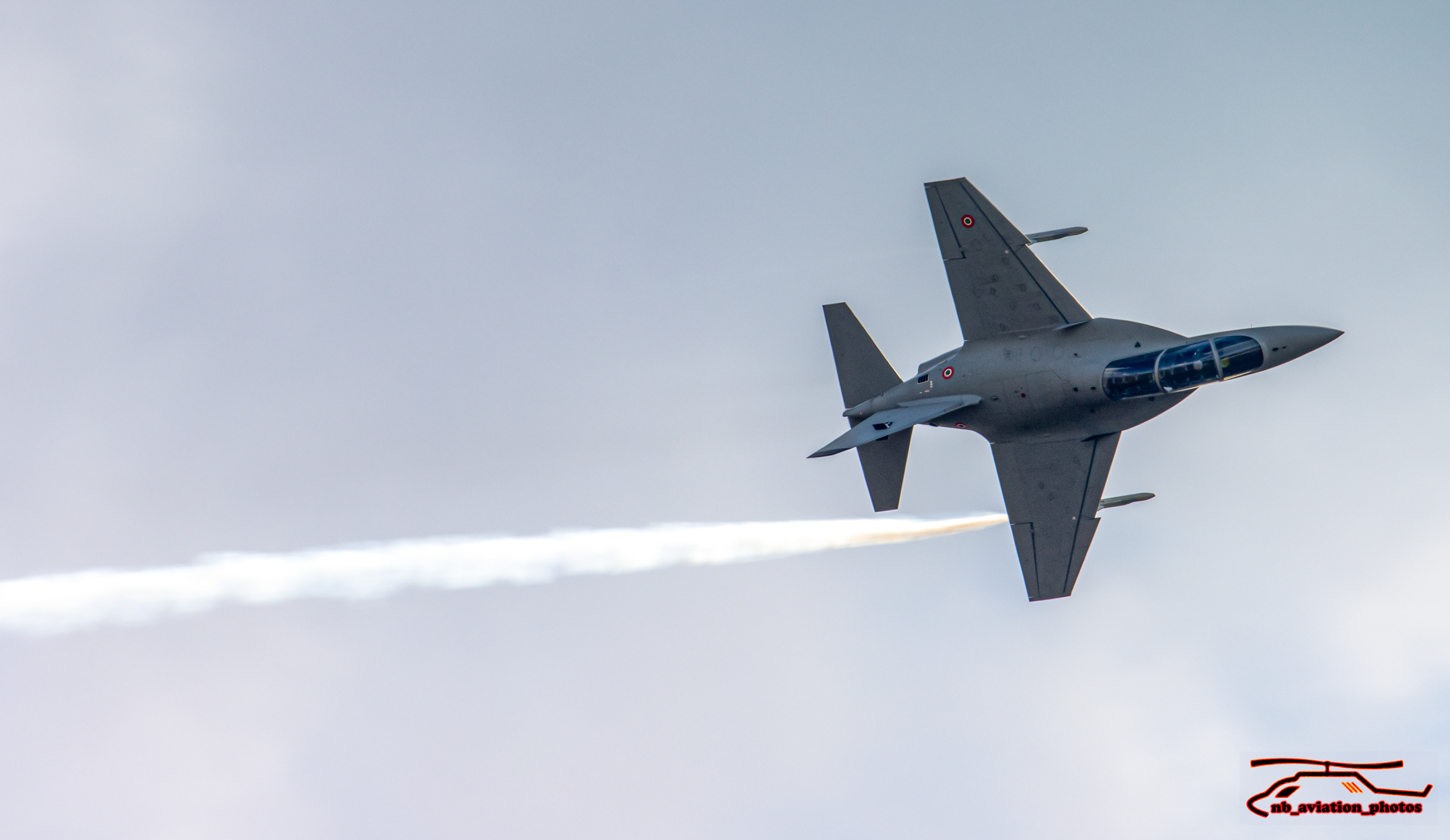 Leonardo M346 Master - Italian air force