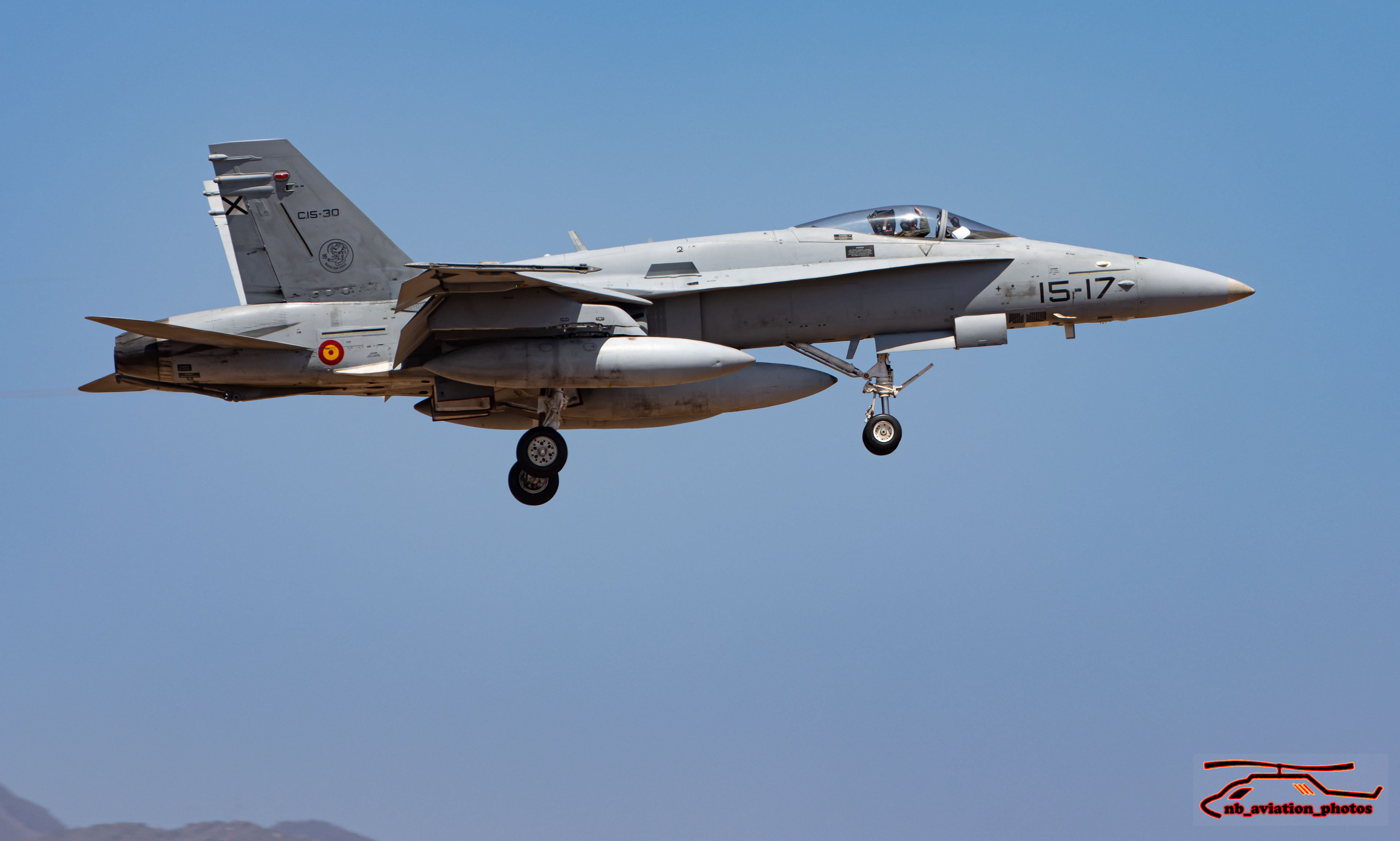 McDonnell Douglas F-18 Hornet WING del Ala 15. Ejercito del Aire