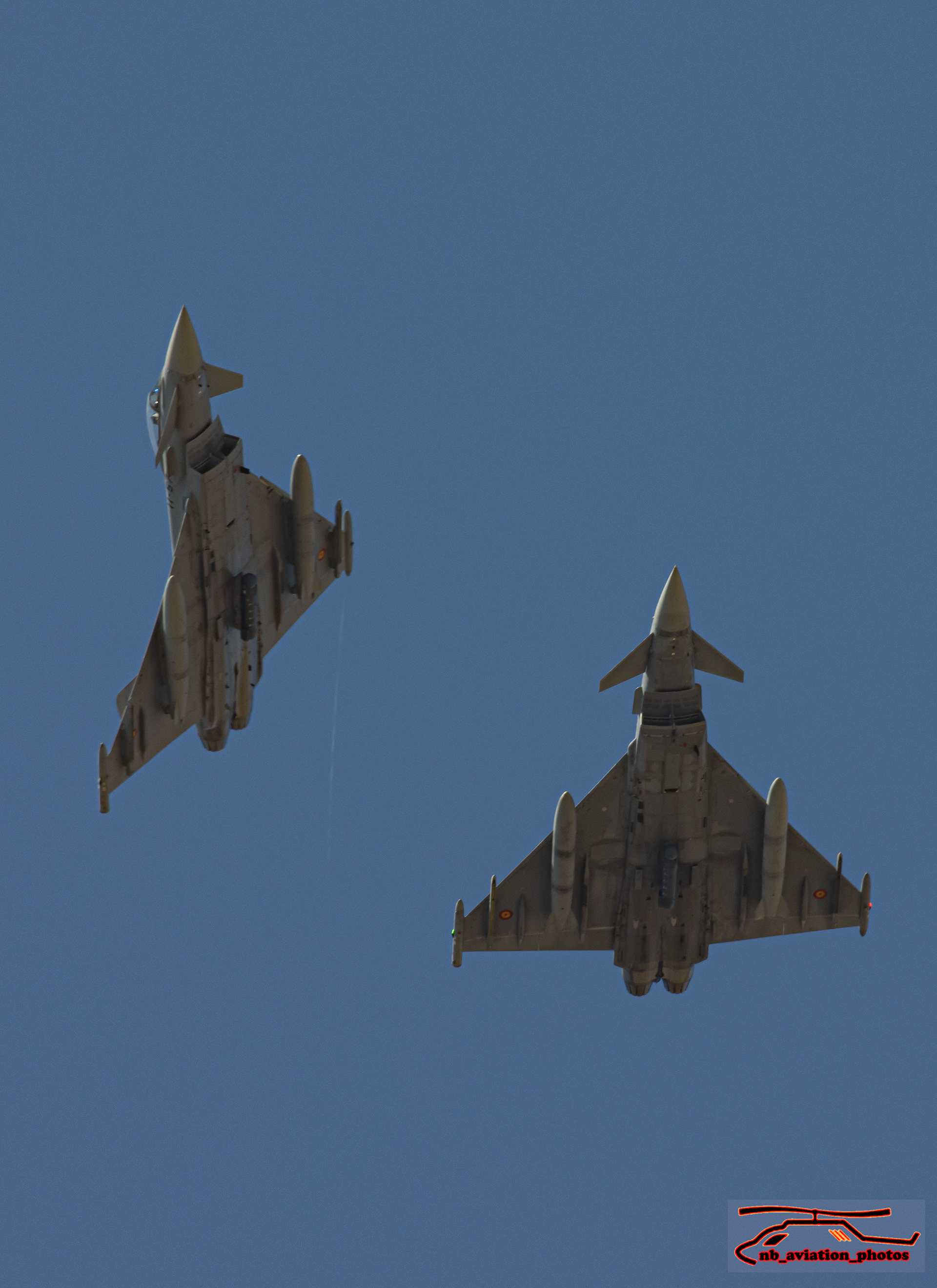 Eurofighter Typhoon - Grupo 11 de Fuerzas Aéreas (Ala 11)