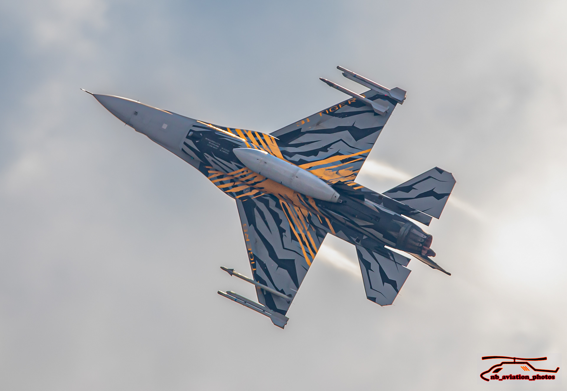 F16 (31 squadron BAF)