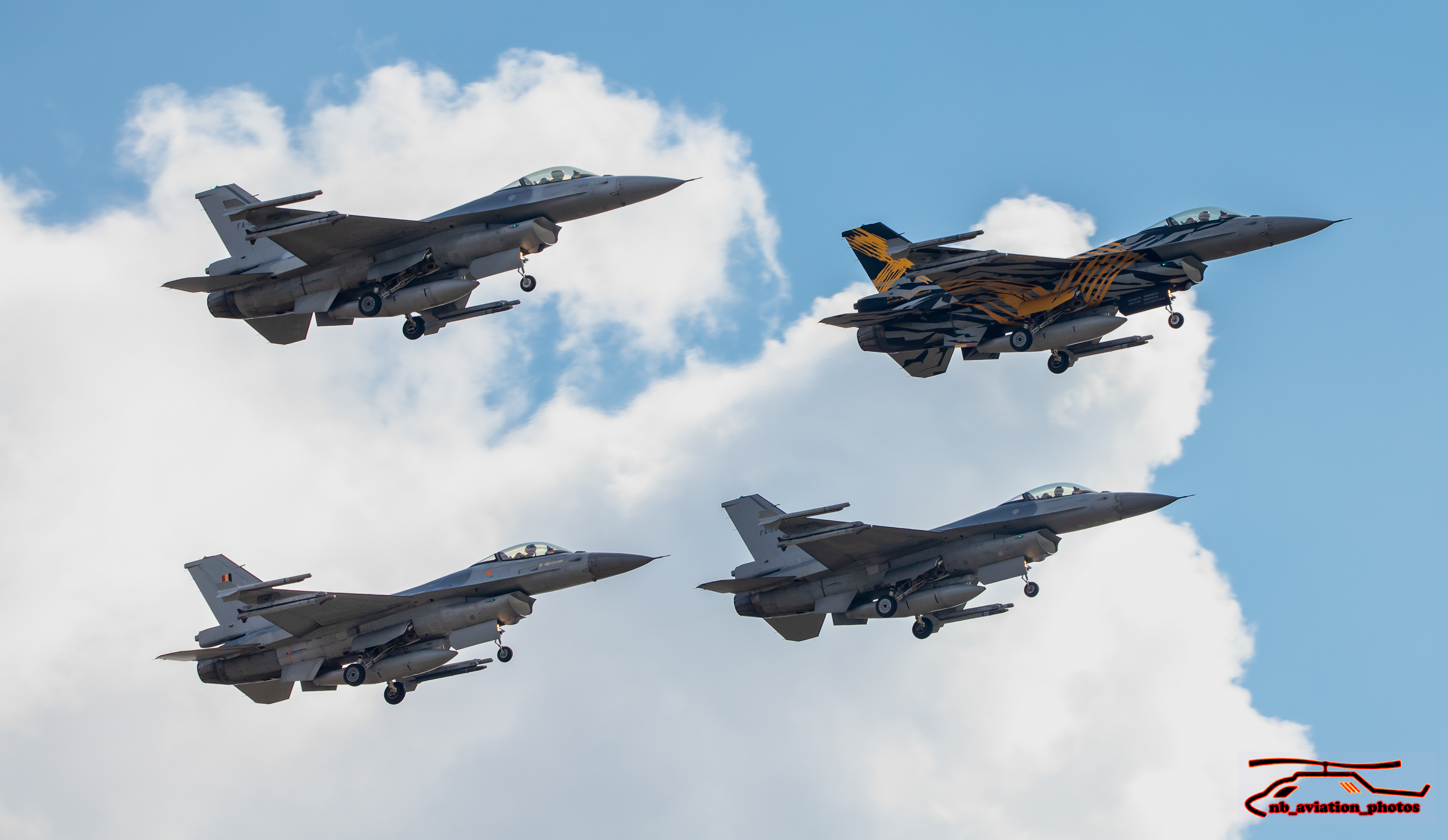  F-16 Fighting Falcons from 31 squadron BAF (Thunder Tigers)