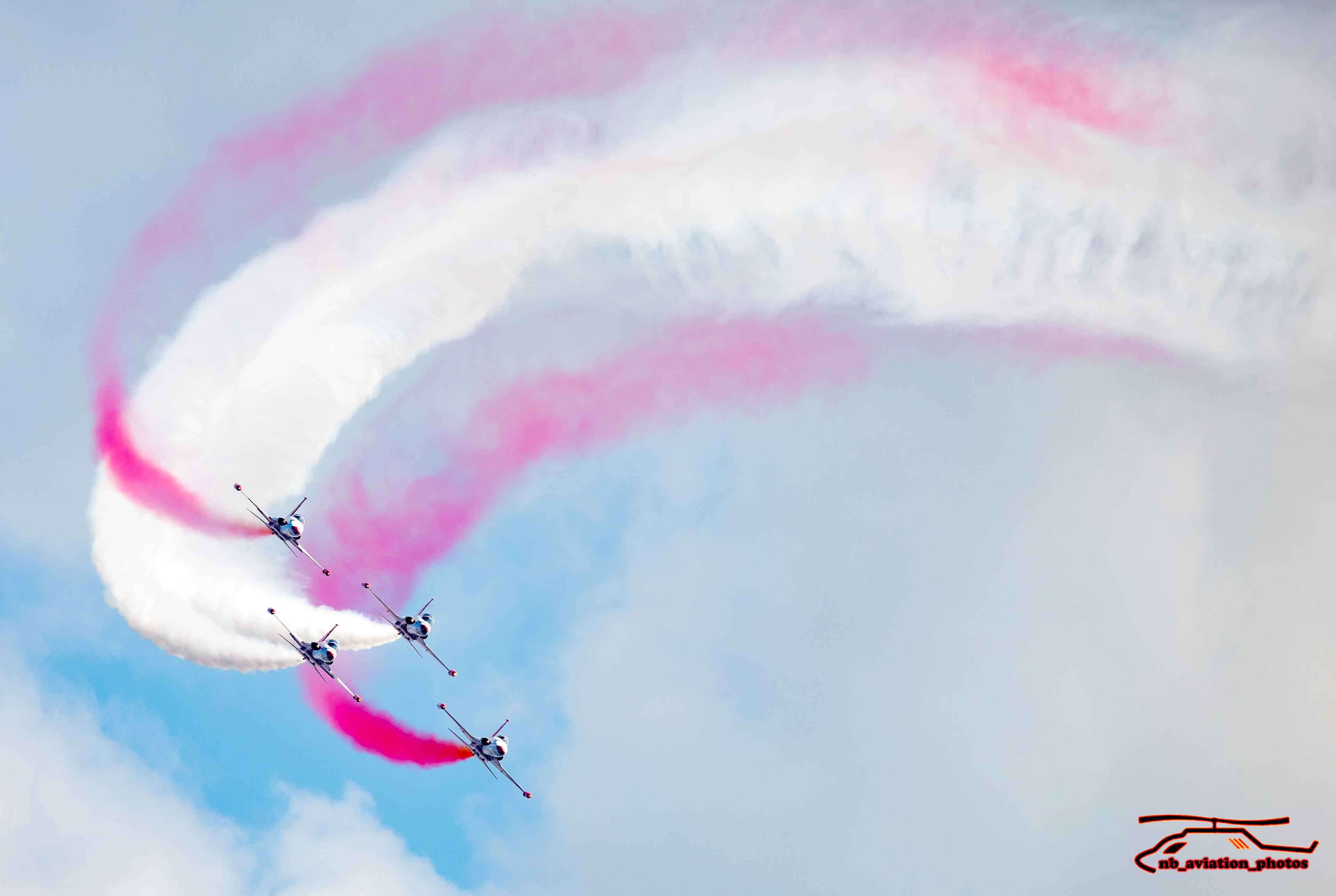  Northrop F-5 (Turkish Stars - Turkish air Force)