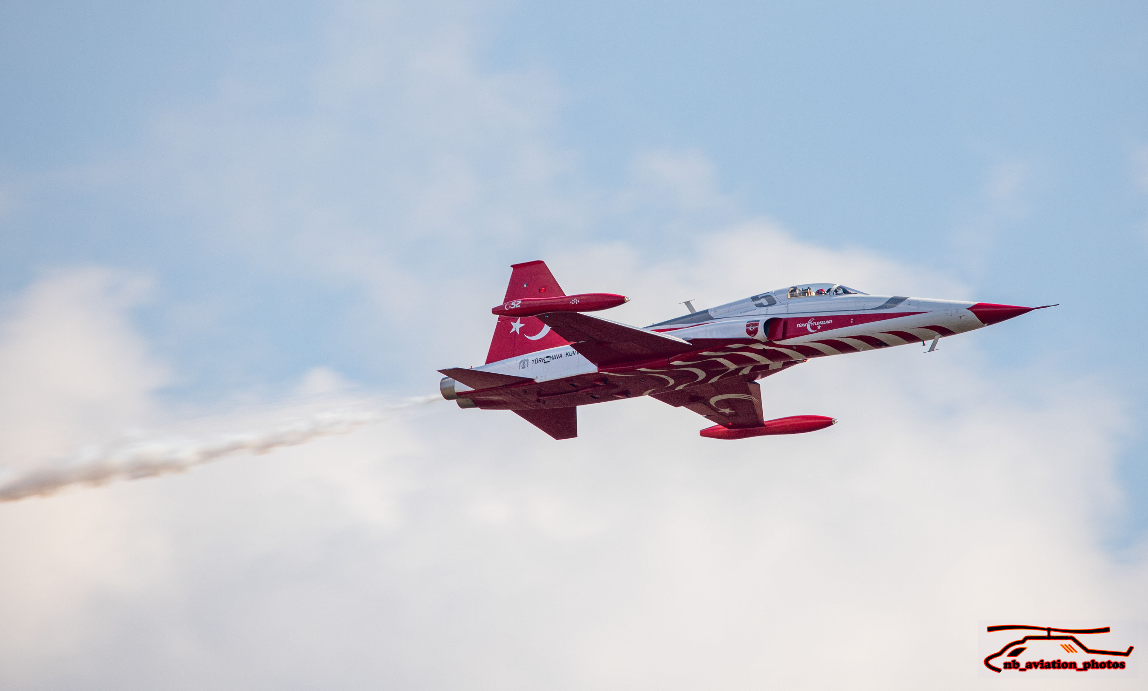  Northrop F-5 (Turkish Stars - Turkish air Force)