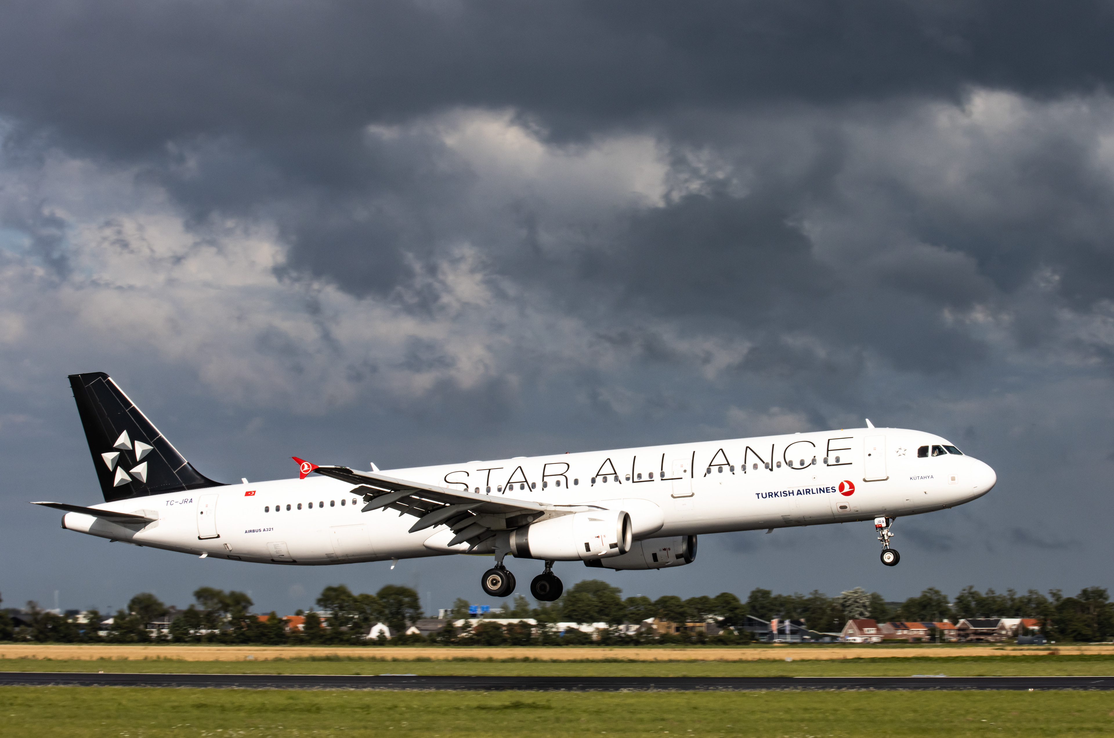 "Turkish Airlines(Star Alliance Livery)" Airbus A321