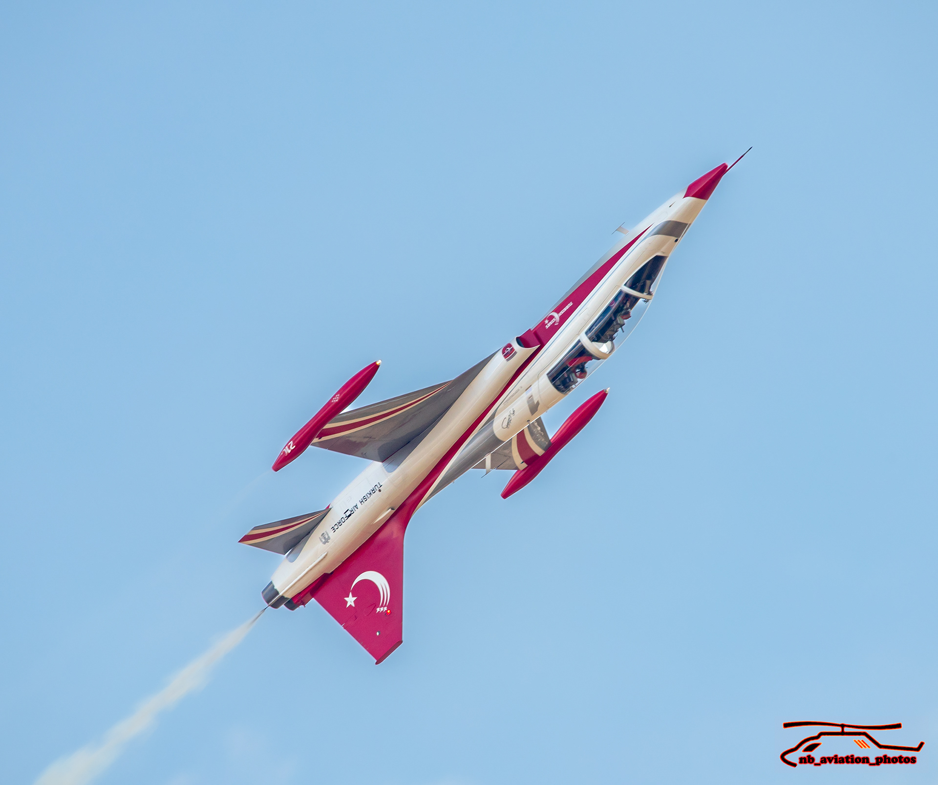  Northrop F-5 (Turkish Stars - Turkish air Force)