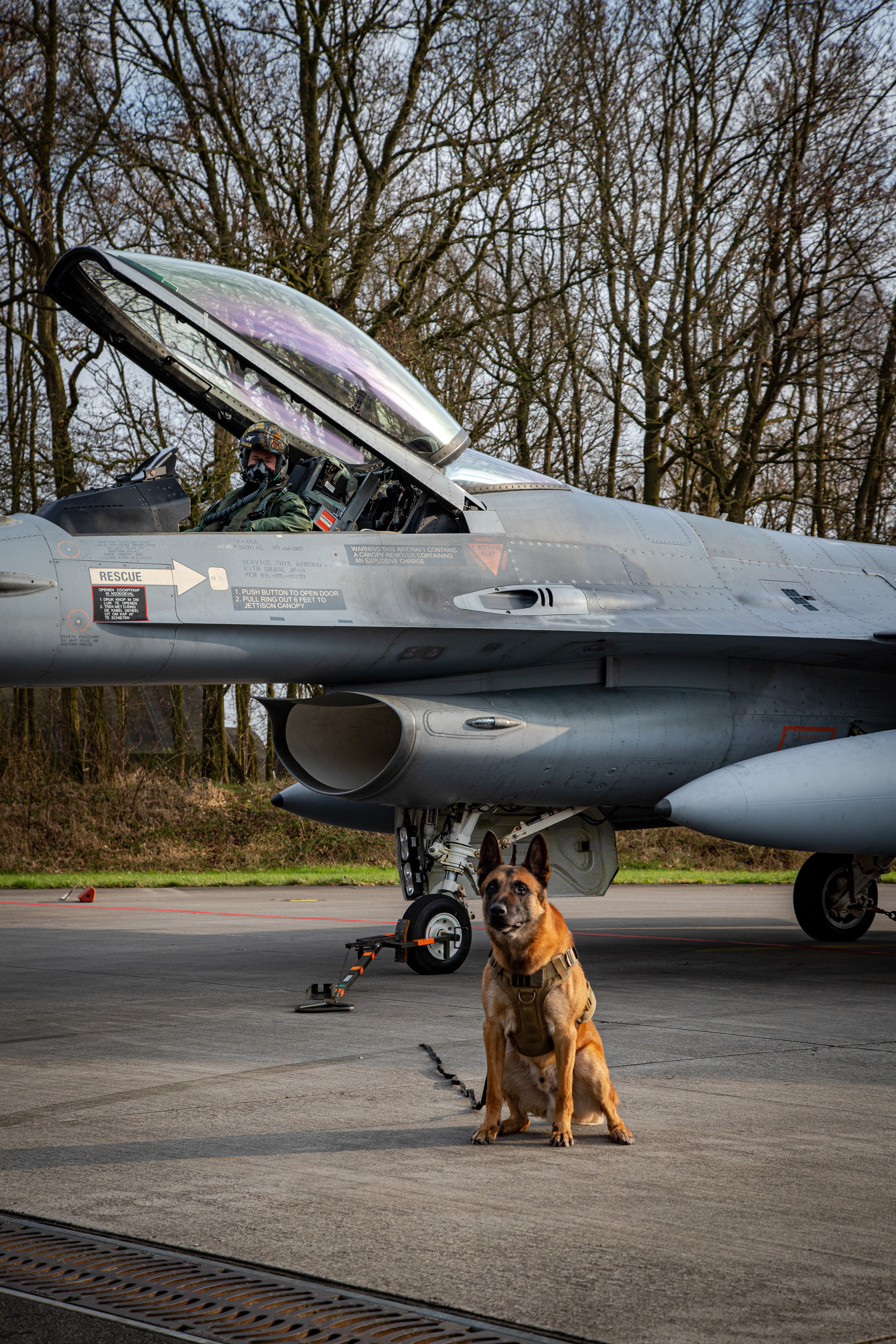 K9 "Rex" 640 SQN