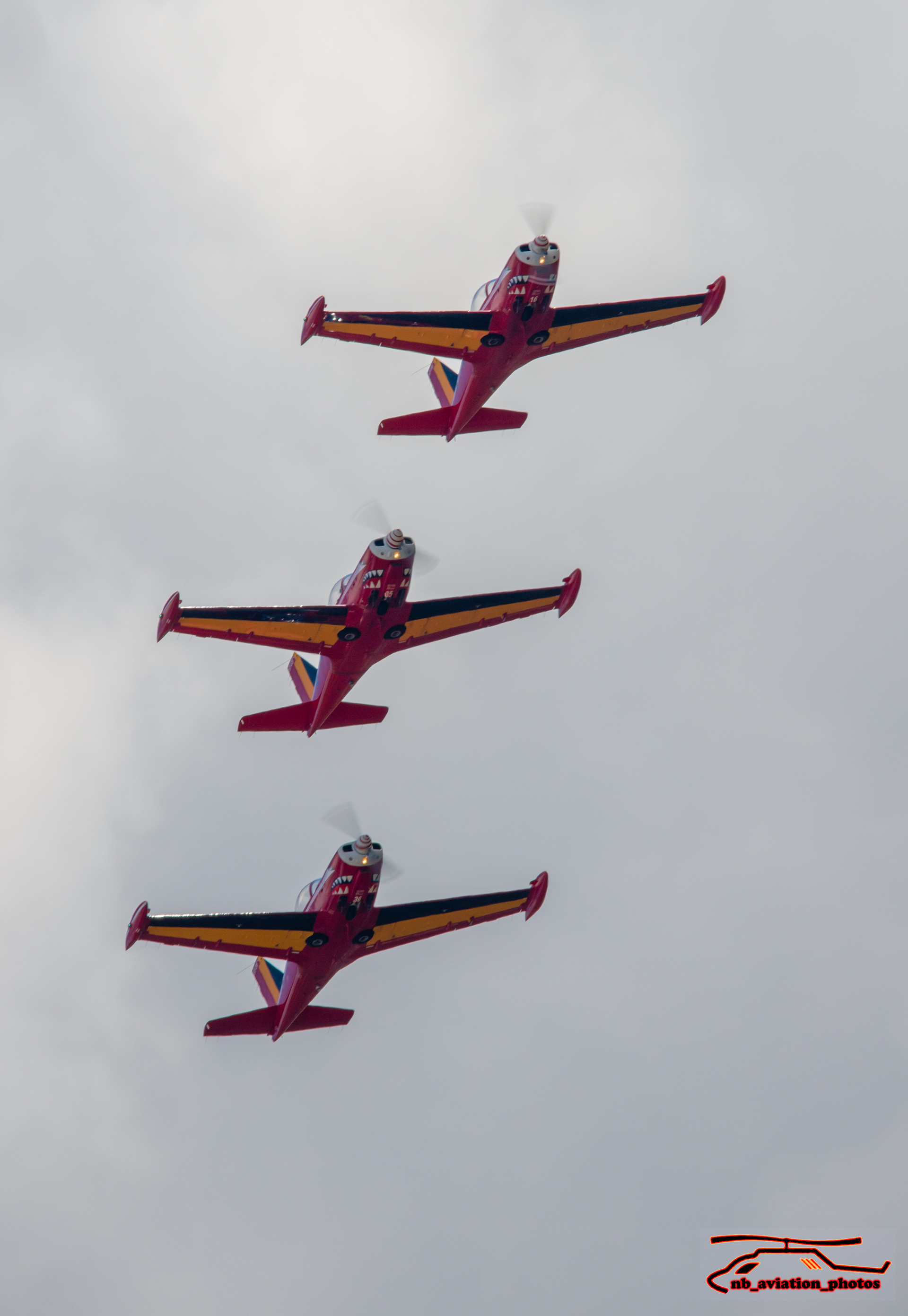  SIAIA Marchetti SF-260s (The Red Devils)