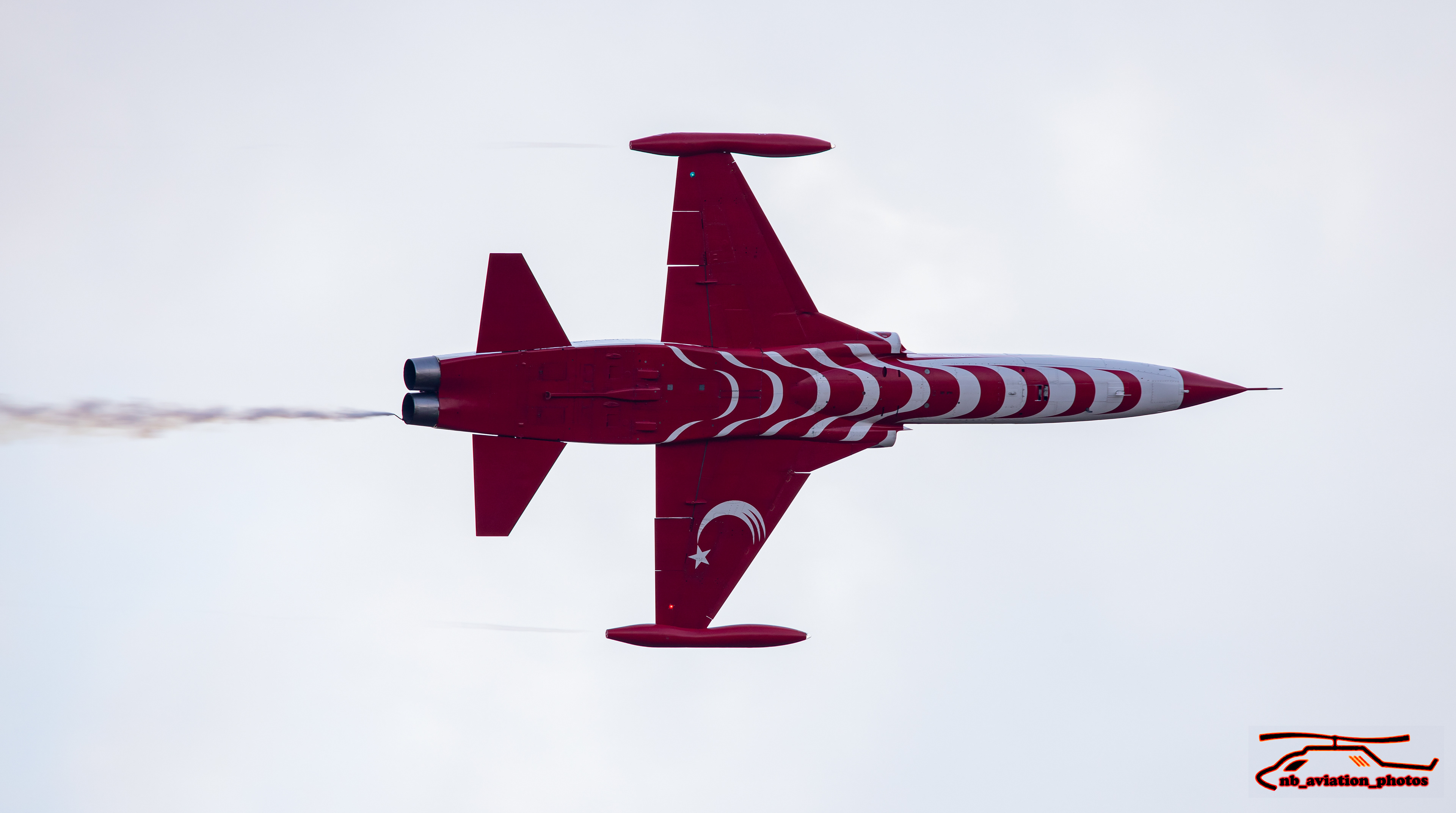 Northrop F-5 (Turkish Stars - Turkish air Force)