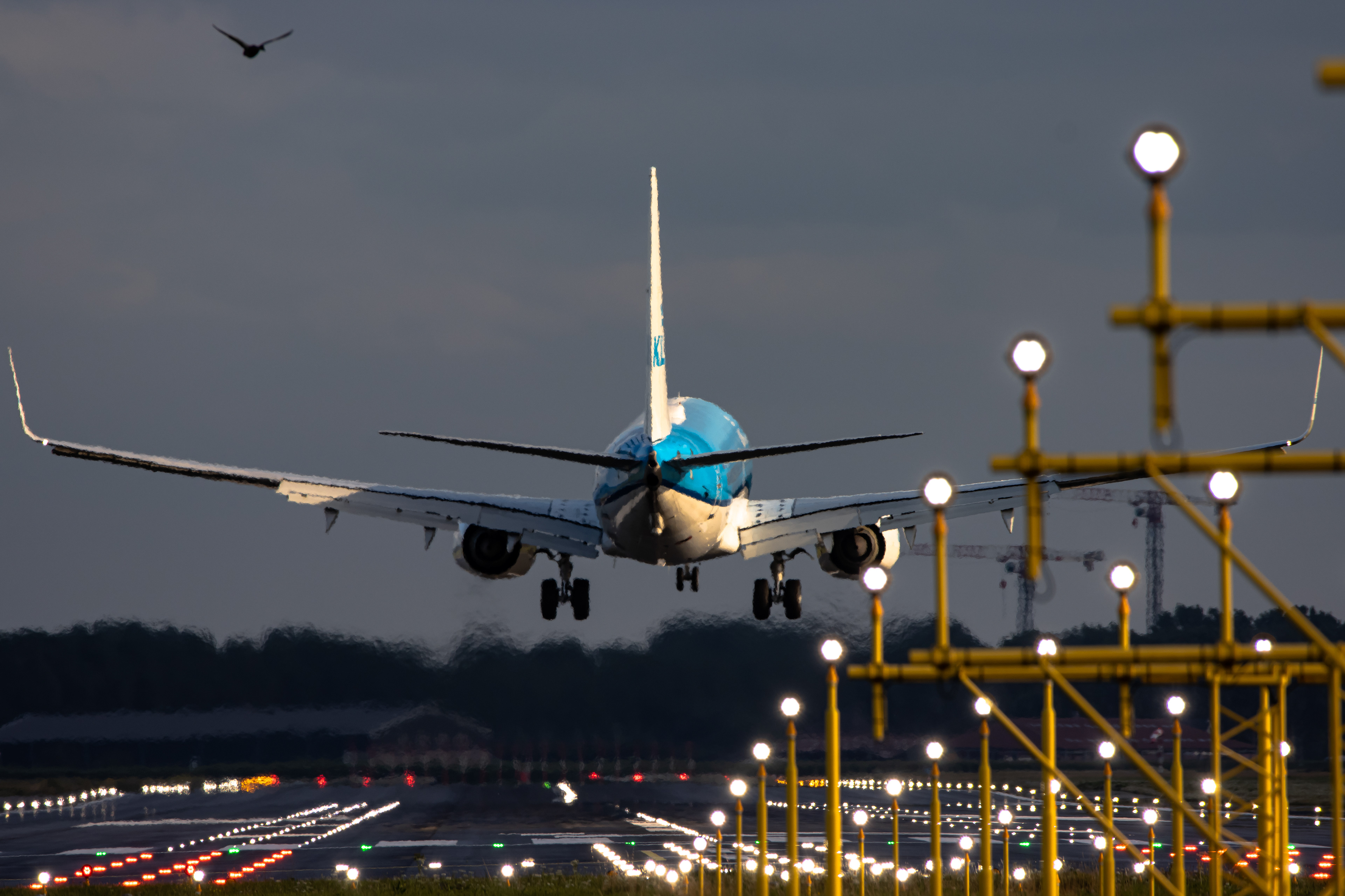 "KLM"  Boeing 777-300