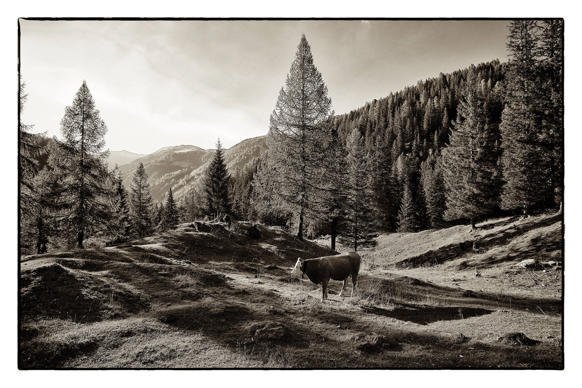  Kärnten - Österreich © Heinz Kleim / KleimDesign