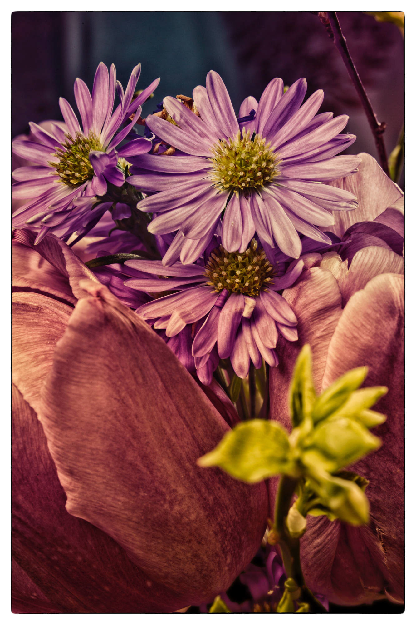 Natur © Heinz Kleim / KleimDesign