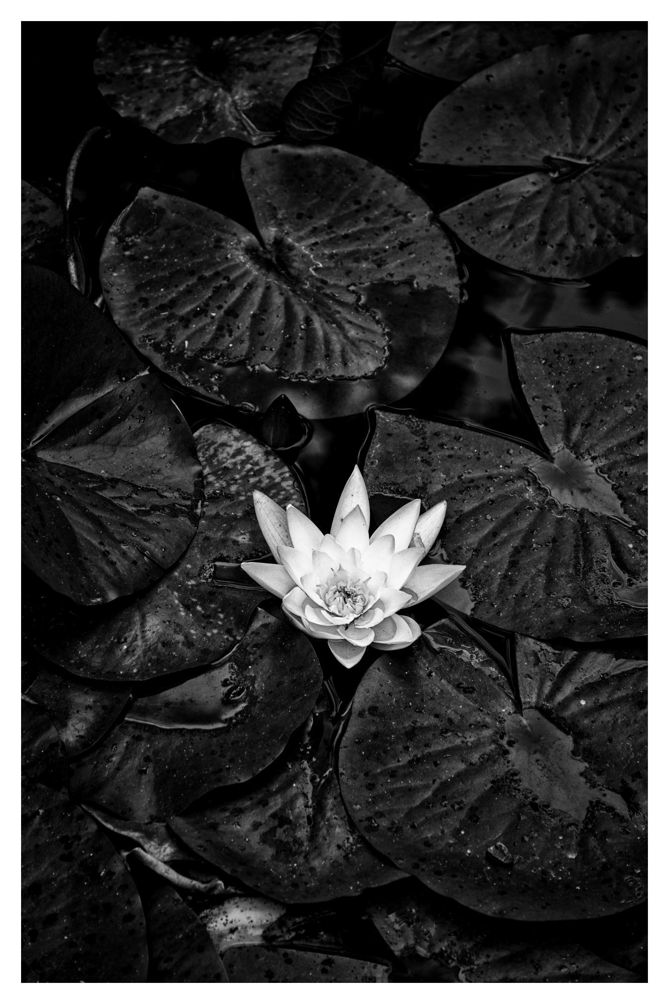 Natur © Heinz Kleim / KleimDesign