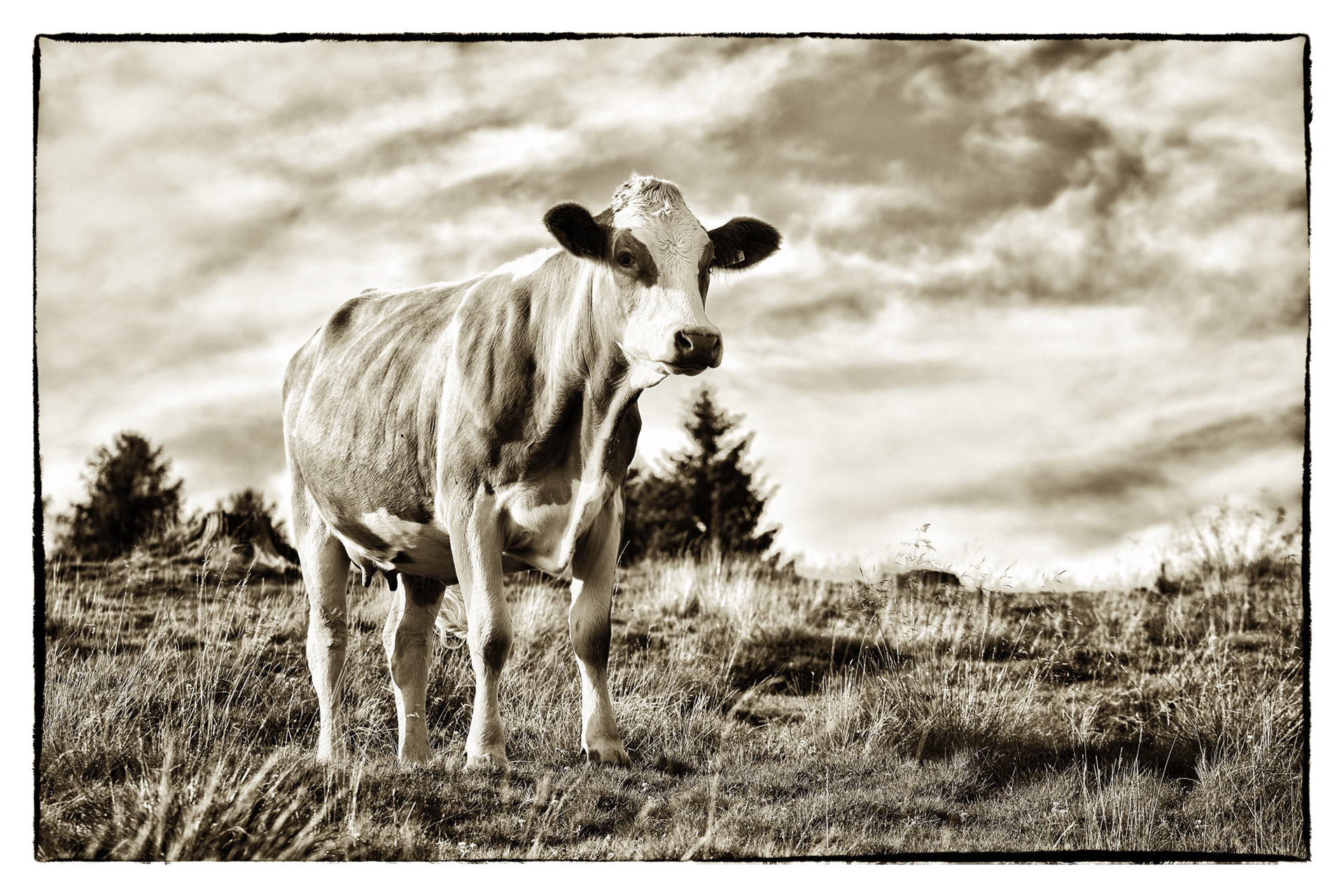  Kärnten - Österreich © Heinz Kleim / KleimDesign