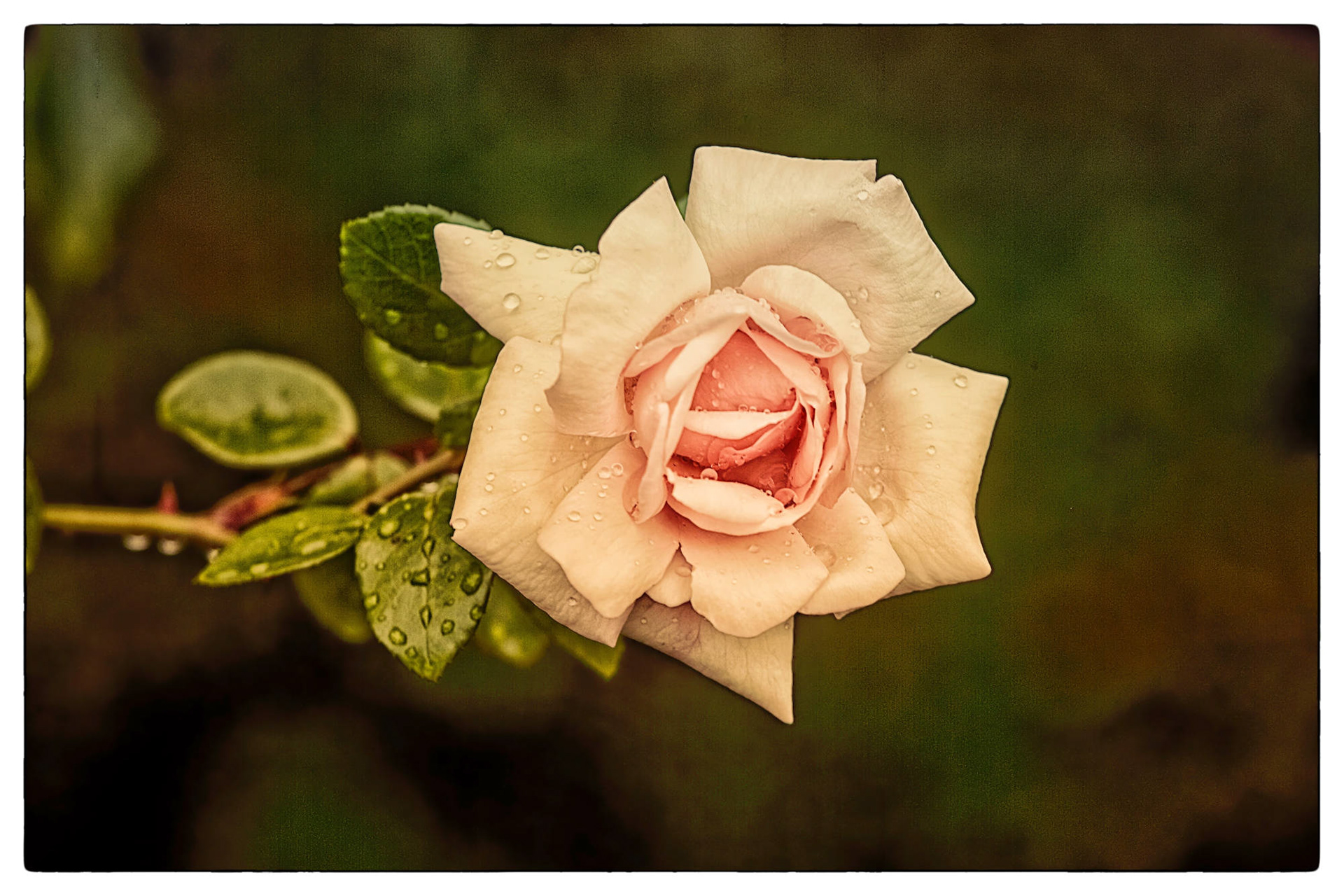 Natur © Heinz Kleim / KleimDesign