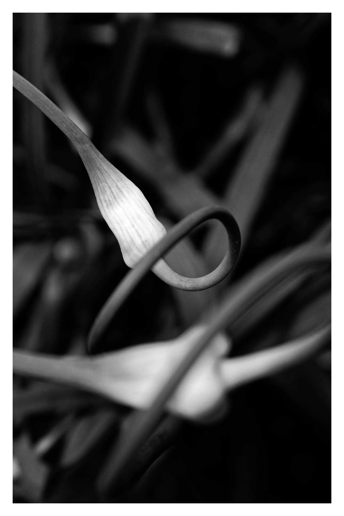 Natur © Heinz Kleim / KleimDesign