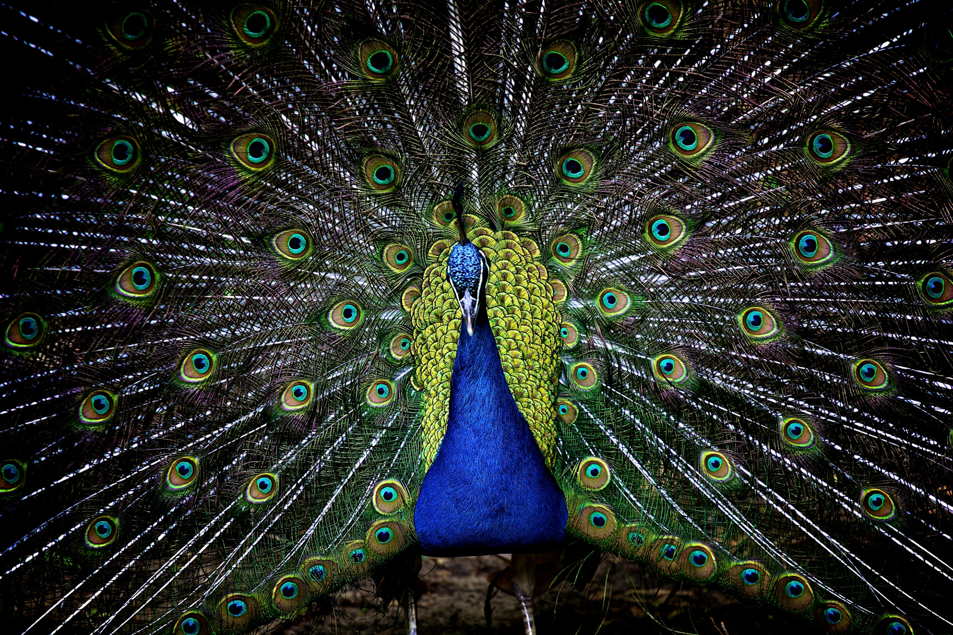 Natur © Heinz Kleim / KleimDesign