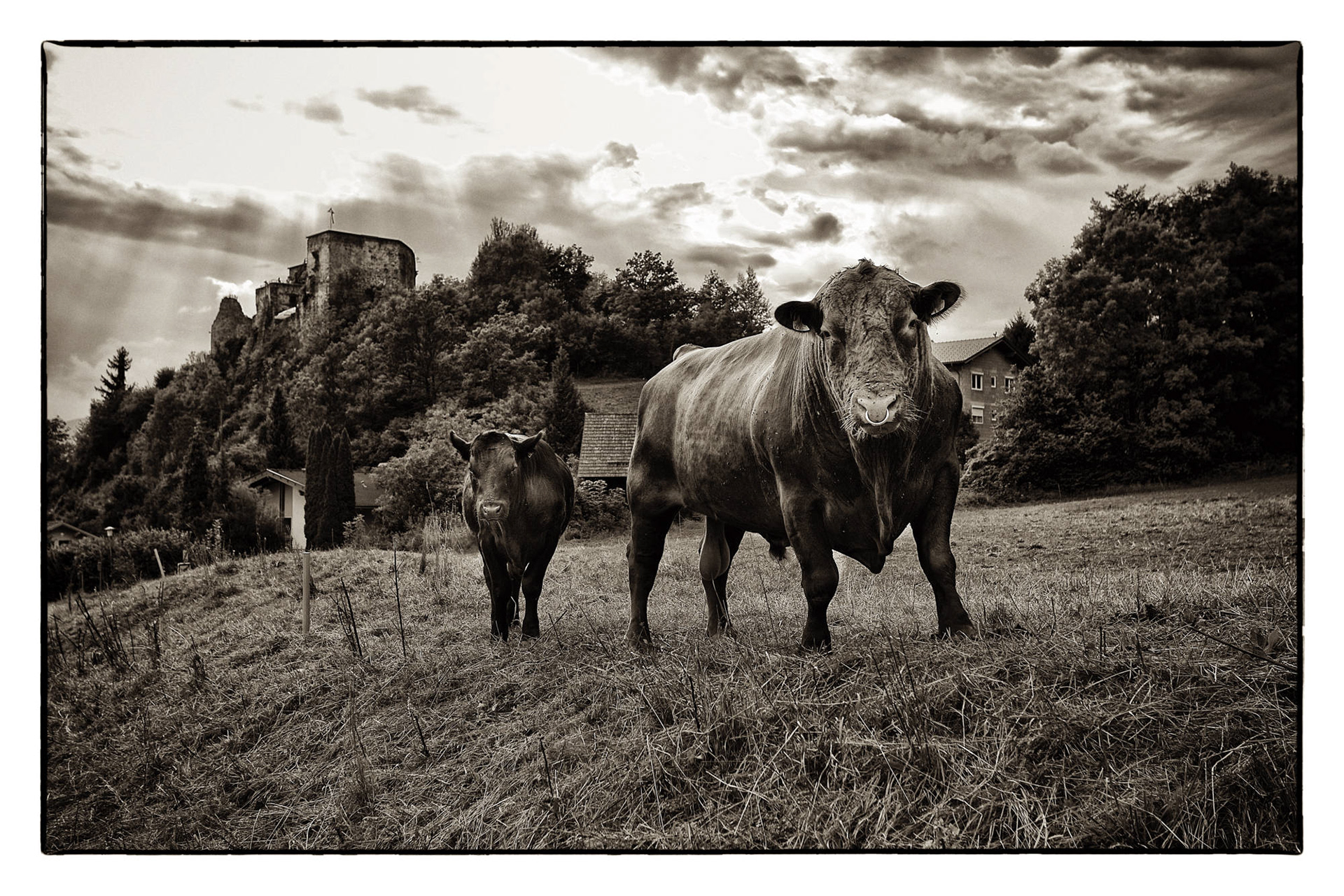  Kärnten - Österreich © Heinz Kleim / KleimDesign