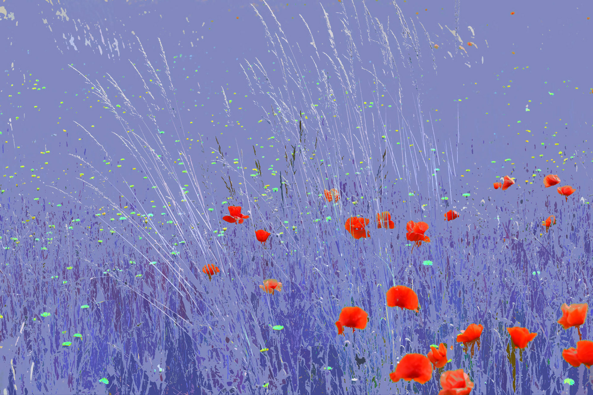 Natur © Heinz Kleim / KleimDesign