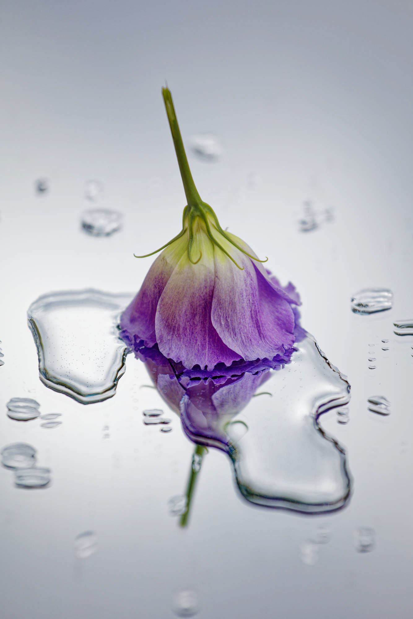 Natur © Heinz Kleim / KleimDesign