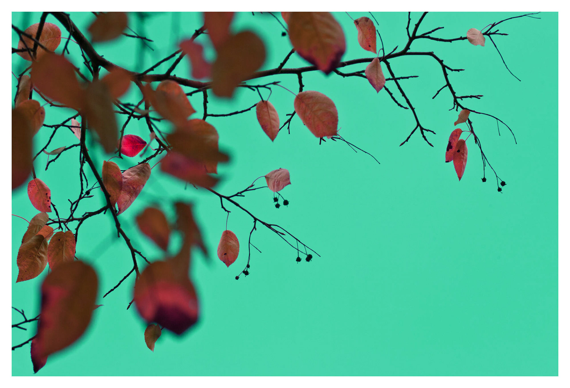 Natur © Heinz Kleim / KleimDesign