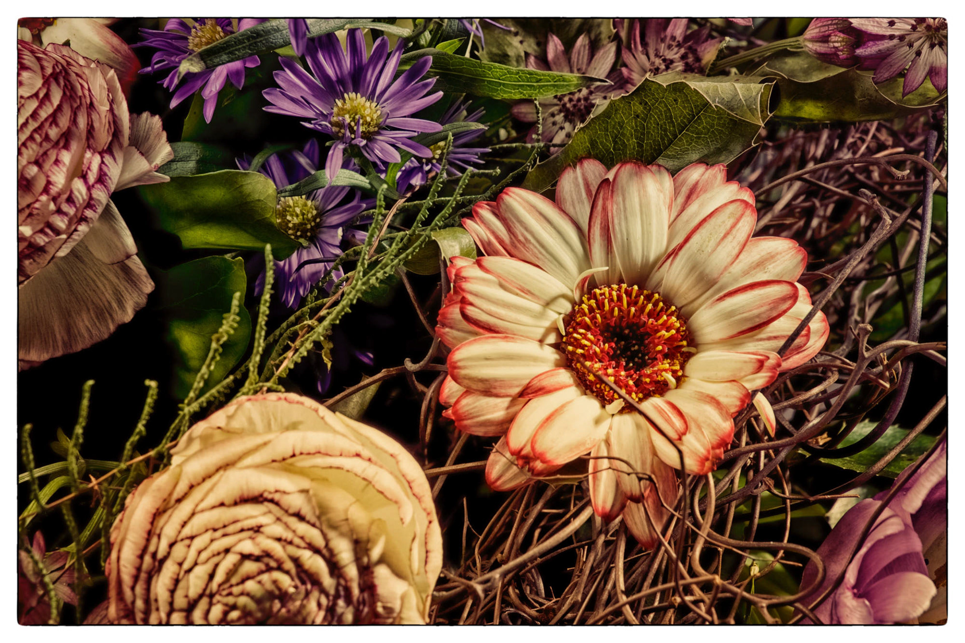 Natur © Heinz Kleim / KleimDesign