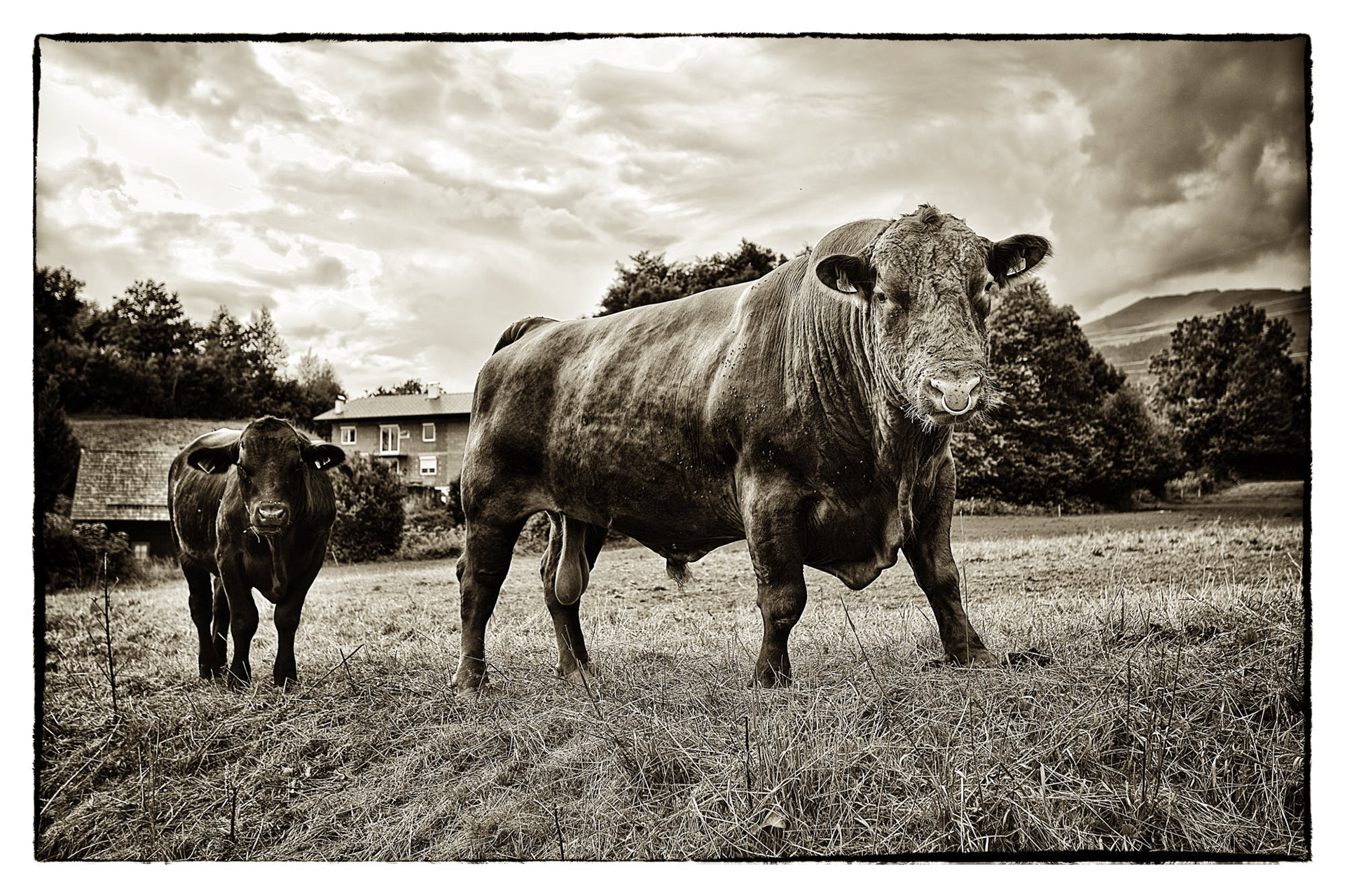  Kärnten - Österreich © Heinz Kleim / KleimDesign