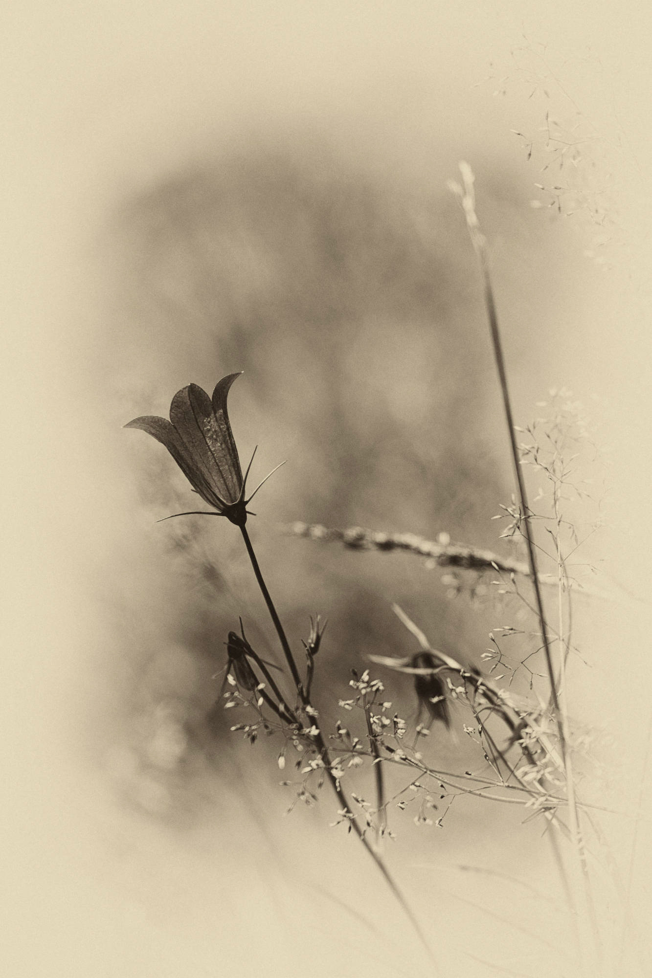  Kärnten - Österreich © Heinz Kleim / KleimDesign